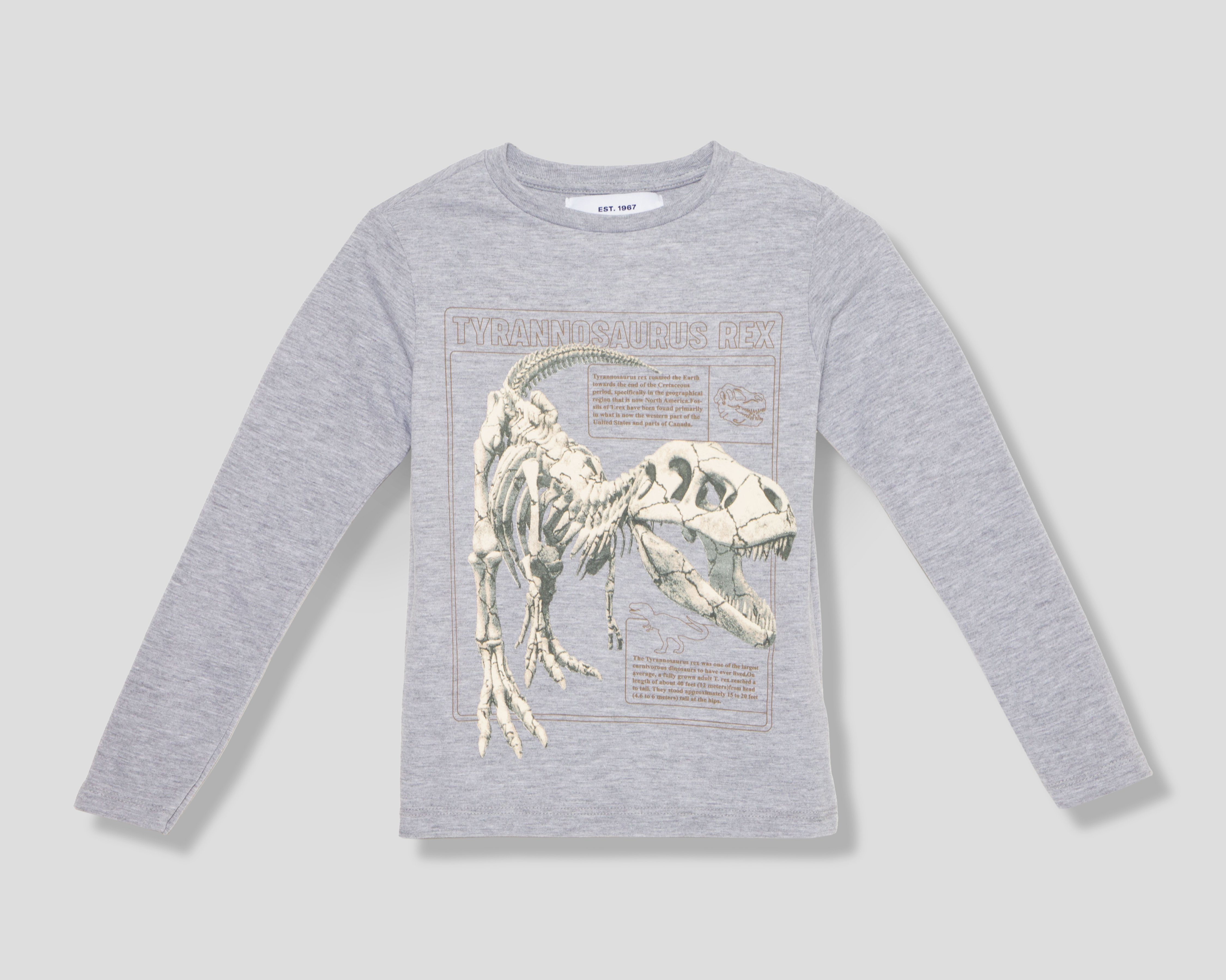 Playera Manga Larga Gris Refill para Niño