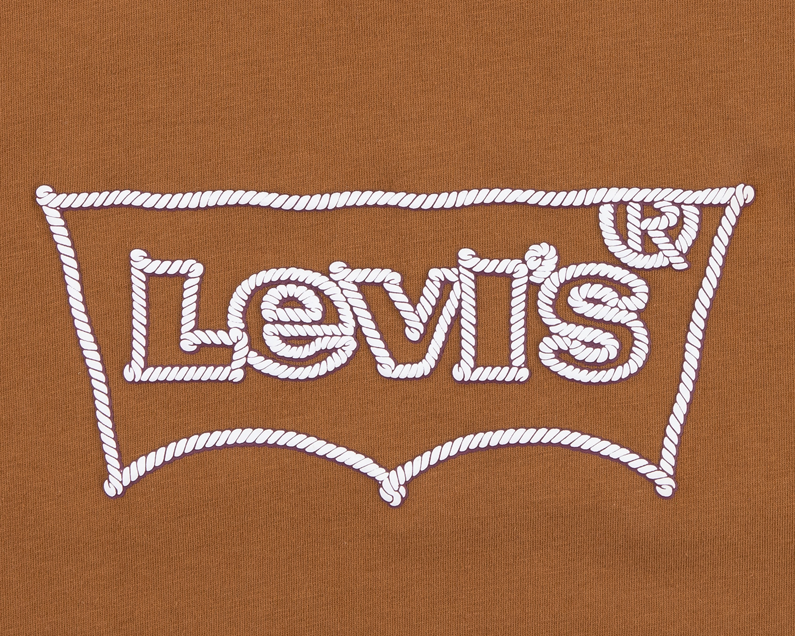 Foto 3 | Foto 3 | Playera de Cuello Redondo Café Levi's para Niño