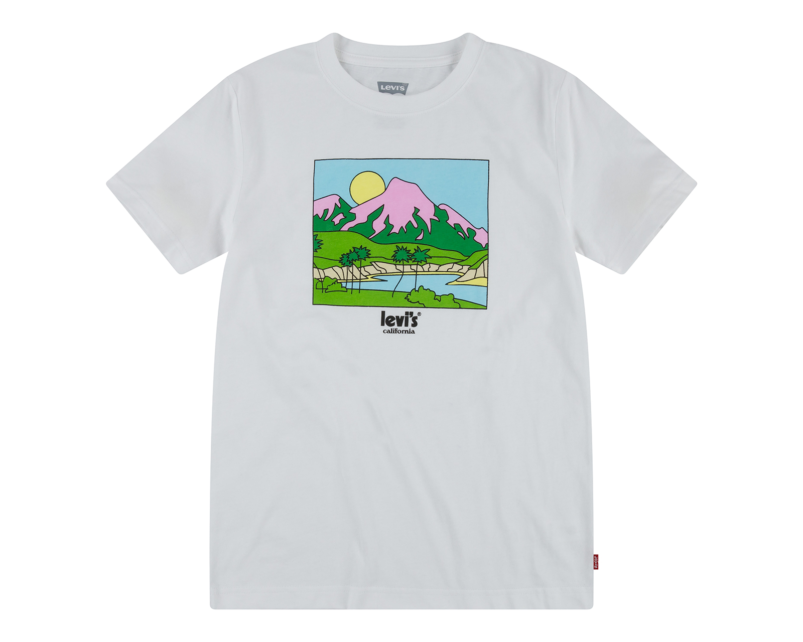 Playera de Cuello Redondo Gris Levi's Juvenil