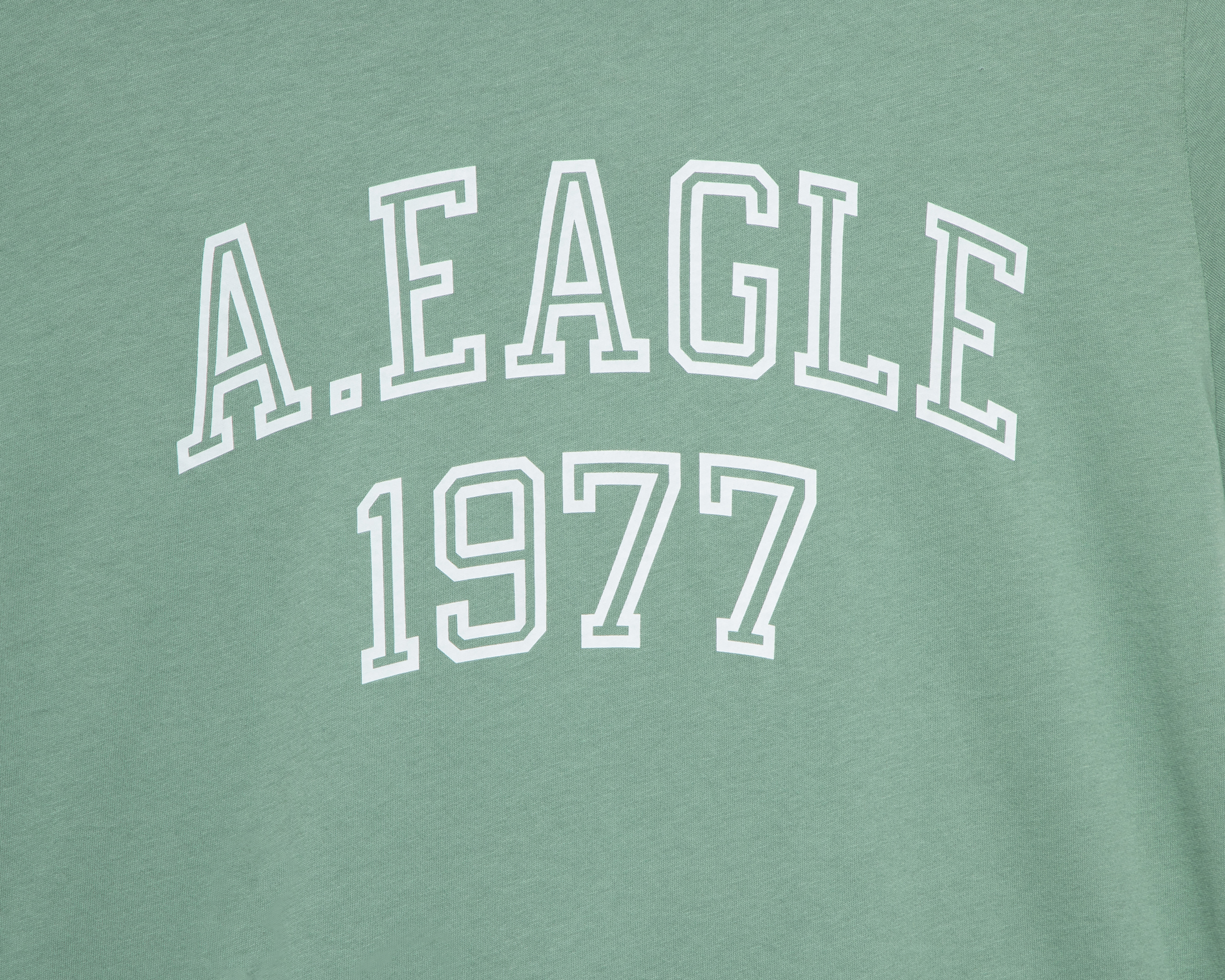 Foto 4 pulgar | Foto 3 | Playera Verde American Eagle para Mujer