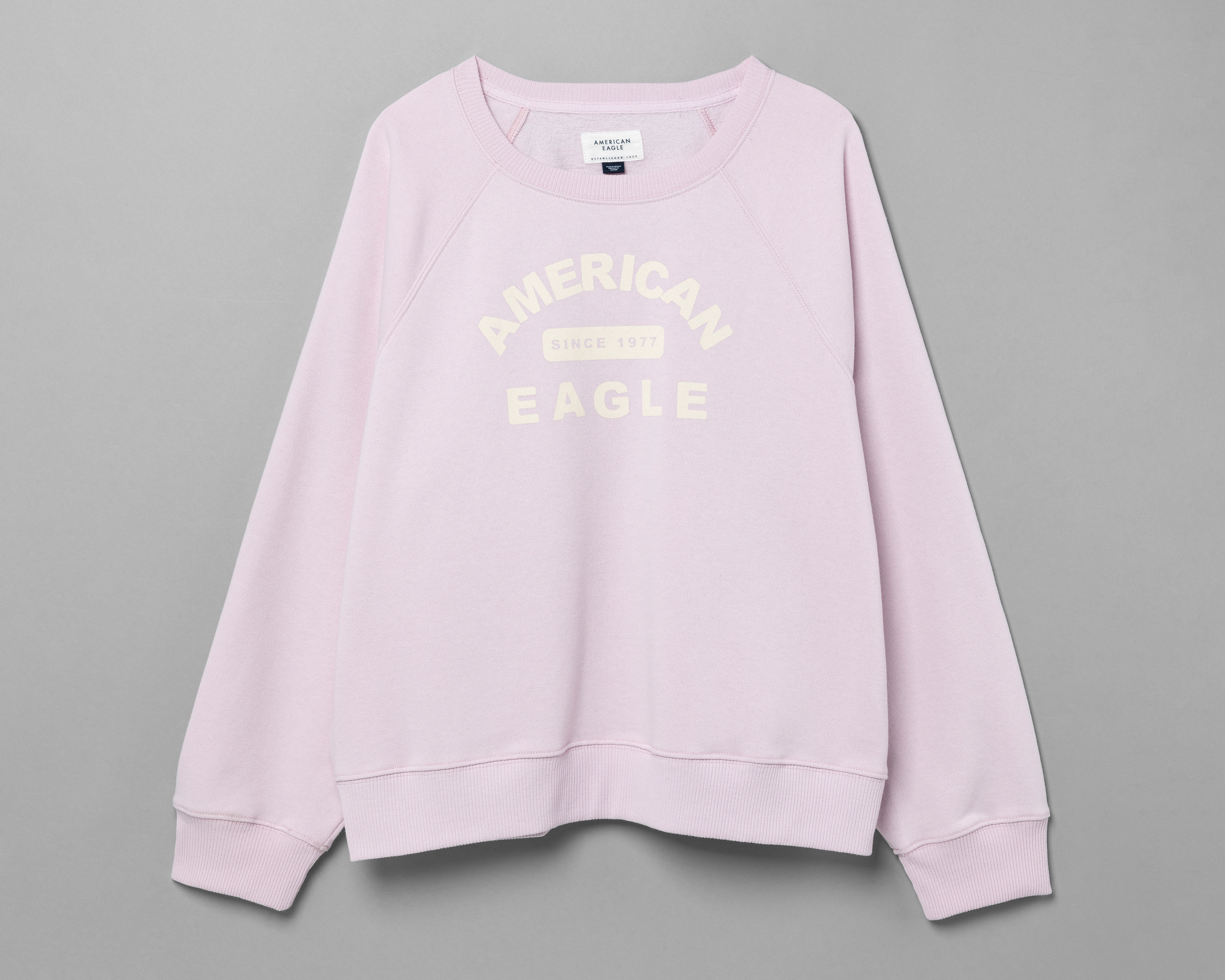 Foto 1 | Foto 1 | Sudadera American Eagle Lila Estampada