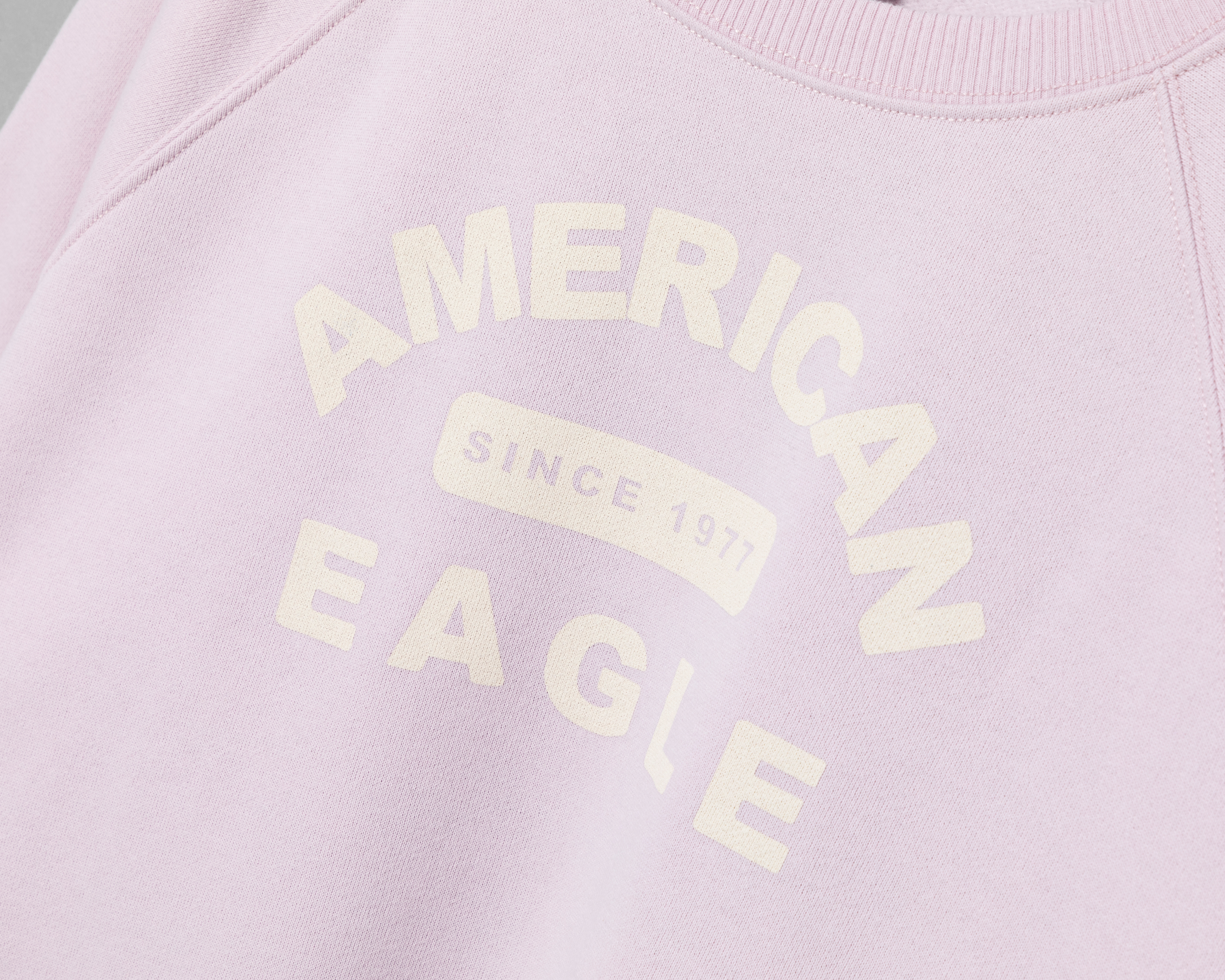 Foto 3 | Foto 3 | Sudadera American Eagle Lila Estampada