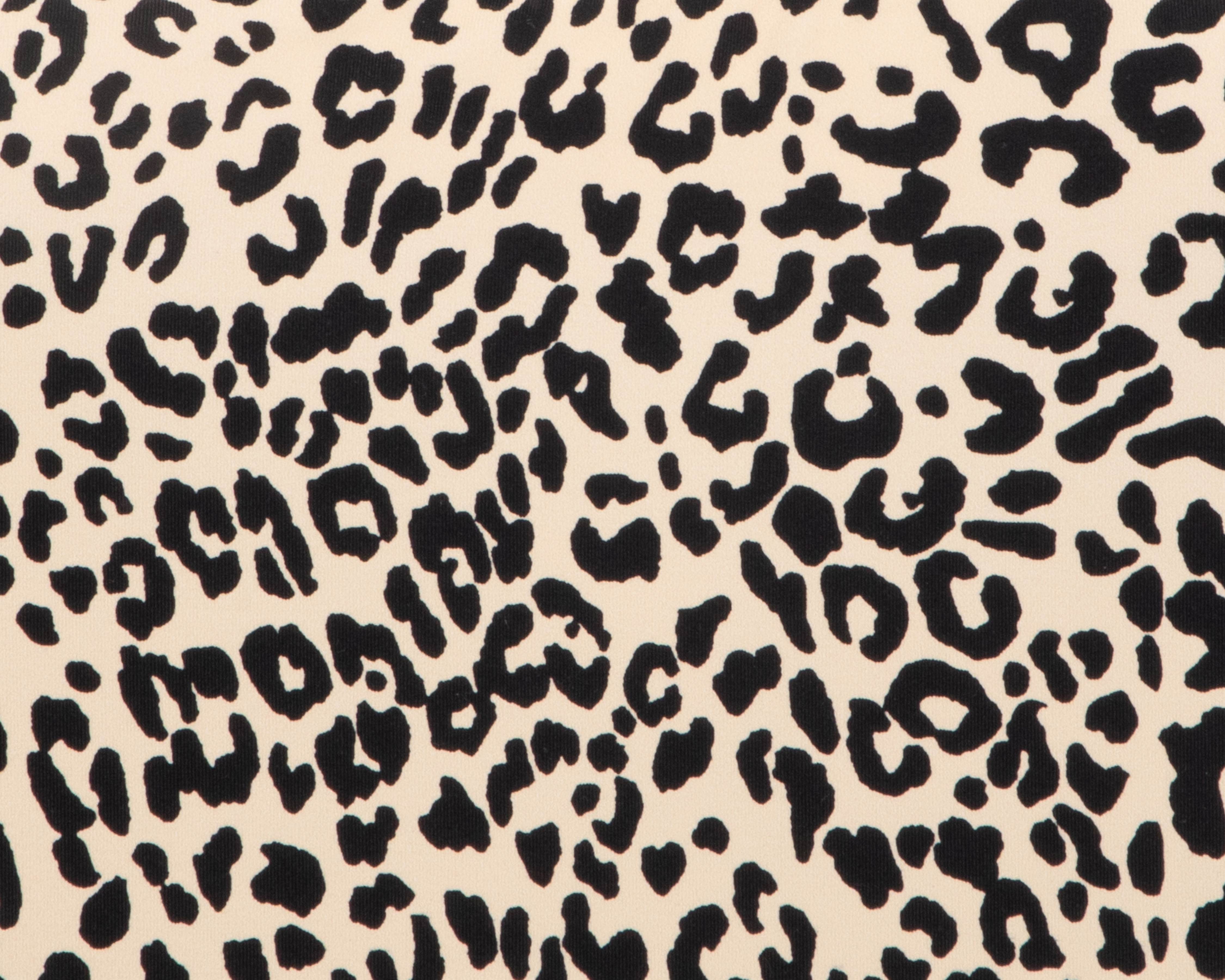 Foto 4 pulgar | Foto 3 | Traje de Baño Completo Bebe Estampado para Mujer