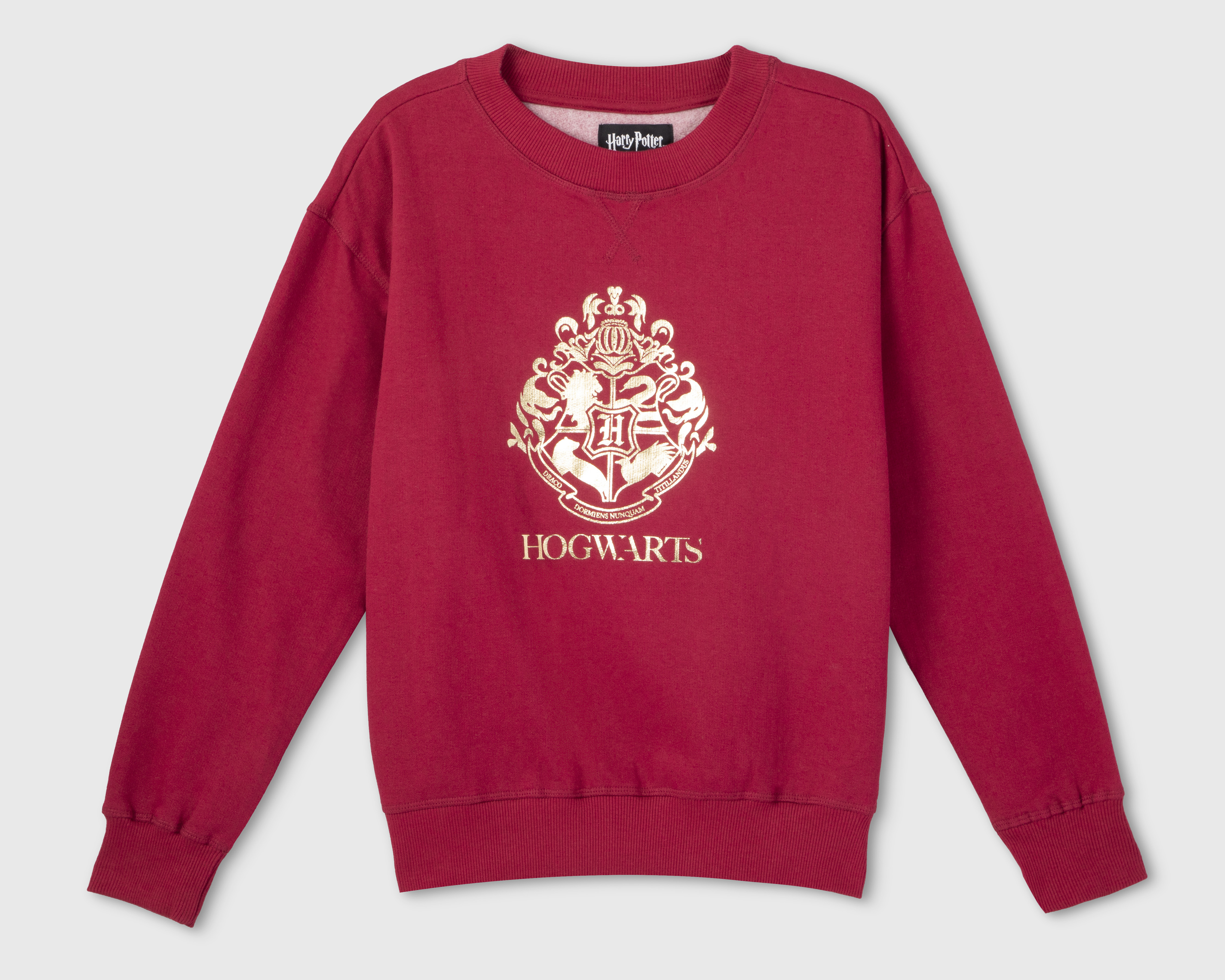 Foto 2 pulgar | Foto 1 | Sudadera Estampada Harry Potter para Mujer