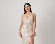 Vestido Meirius de Noche Largo Plateado