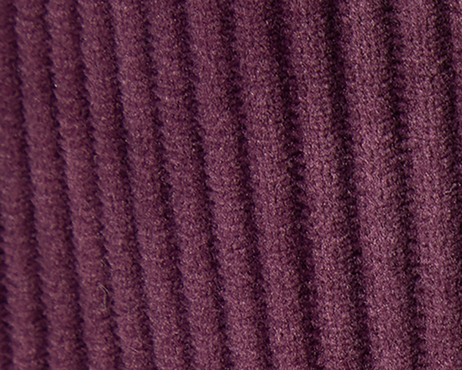 Foto 5 pulgar | Foto 4 | Pants Deportivo Champion para Mujer