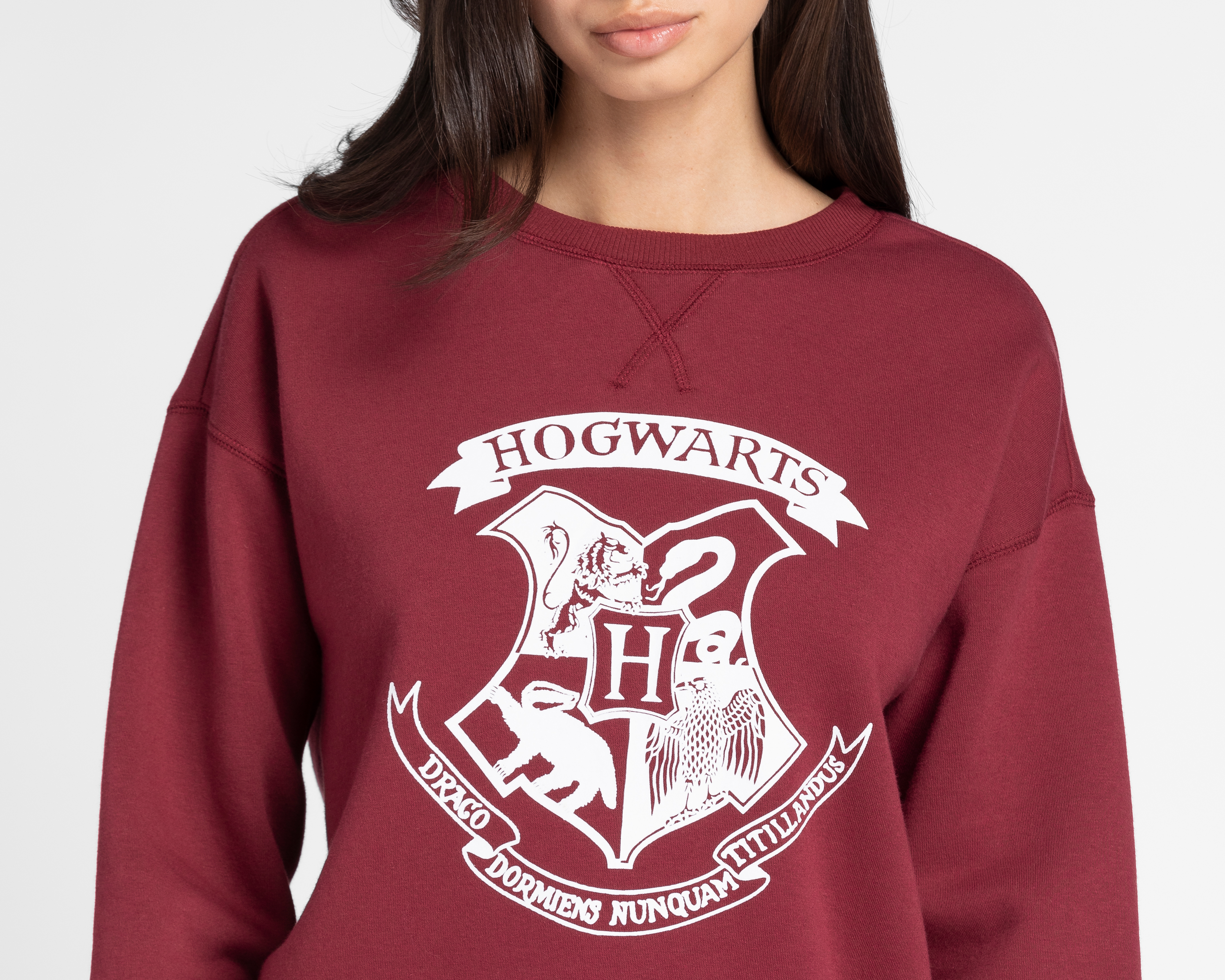 Foto 4 pulgar | Foto 3 | Sudadera Harry Potter Estampada