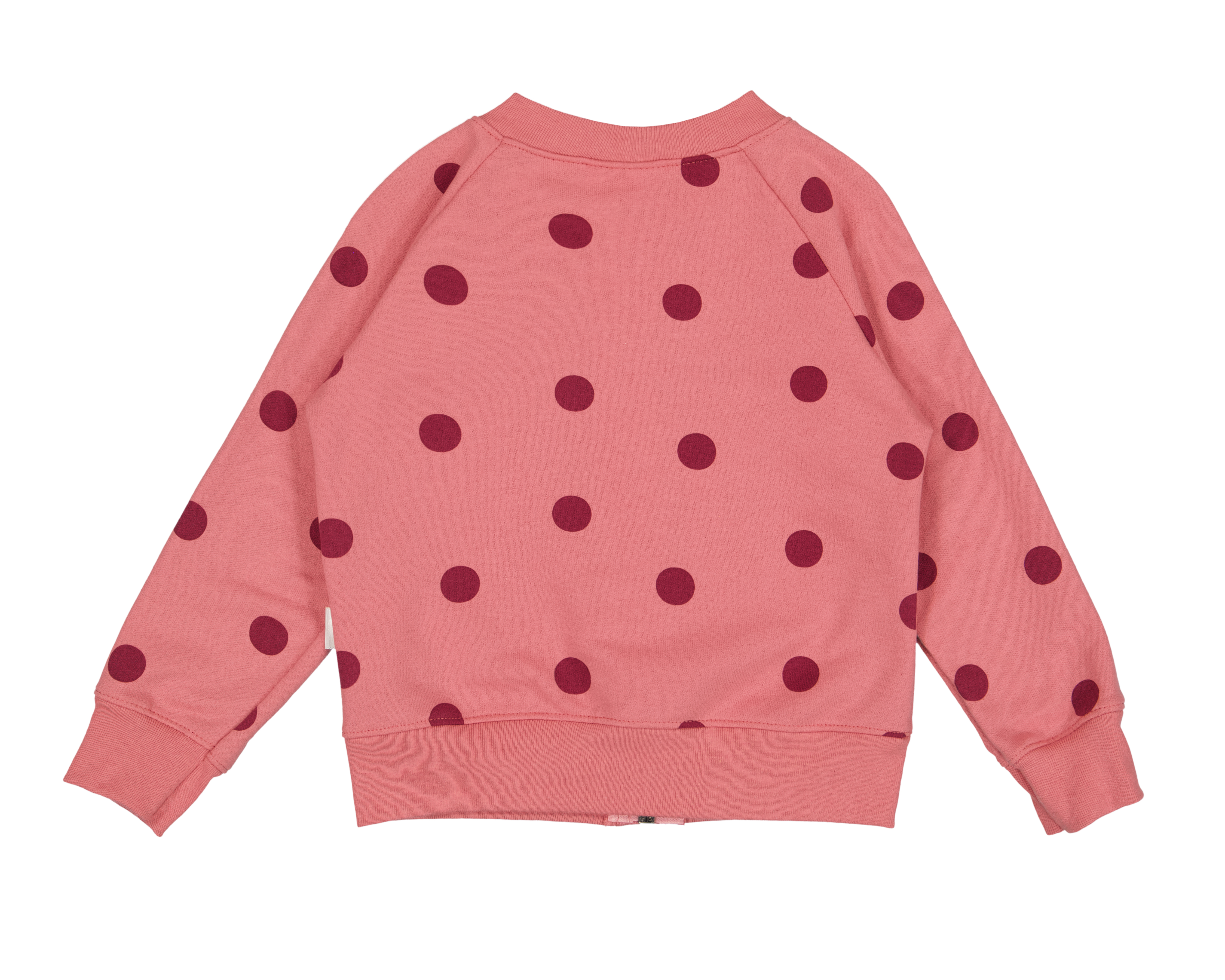 Foto 3 pulgar | Foto 2 | Sudadera Baby Optima para Bebé Niña