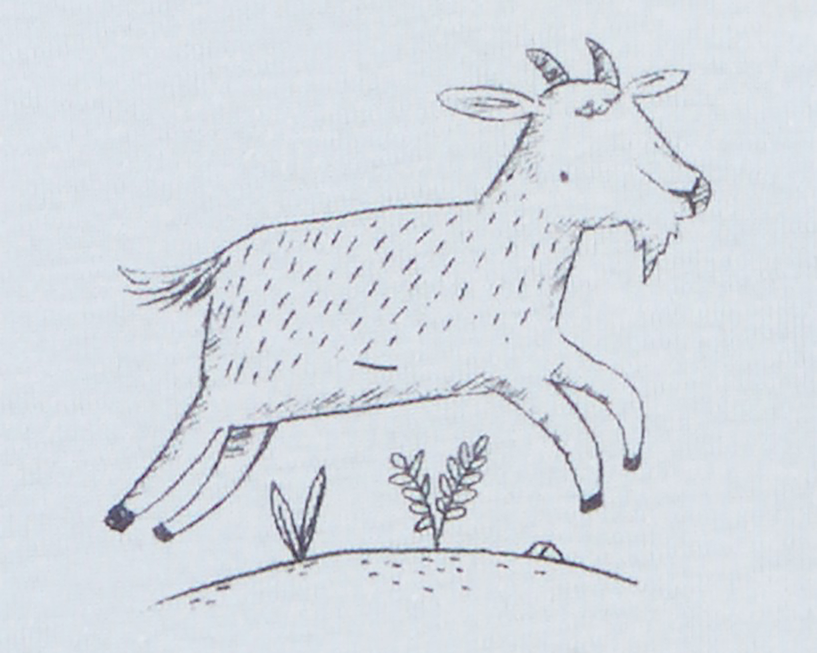 Foto 3 pulgar | Foto 2 | Pañalero para Bebé Niño Carter's de Algodón 5 Piezas