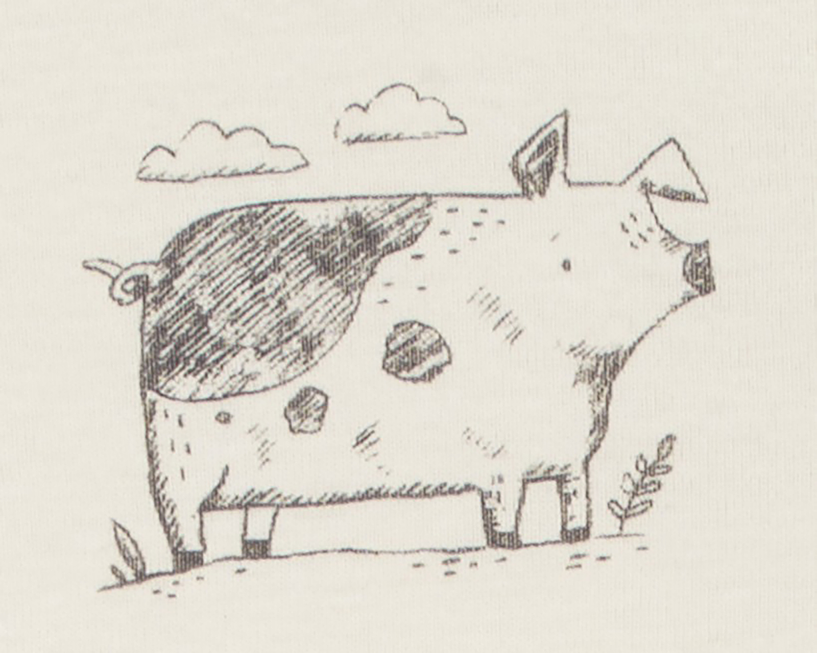 Foto 4 | Foto 4 | Pañalero para Bebé Niño Carter's de Algodón 5 Piezas