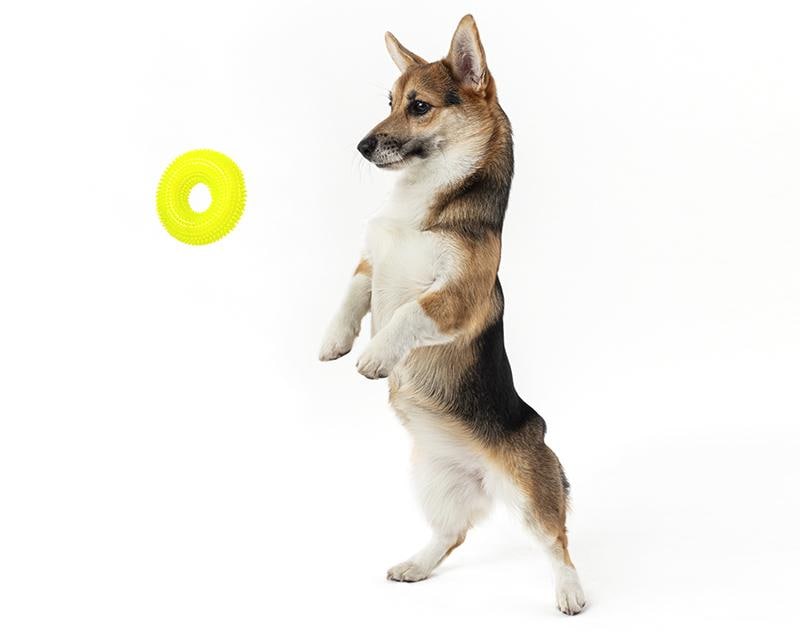 Foto 4 pulgar | Foto 3 | Mordedera Huppy para Perro