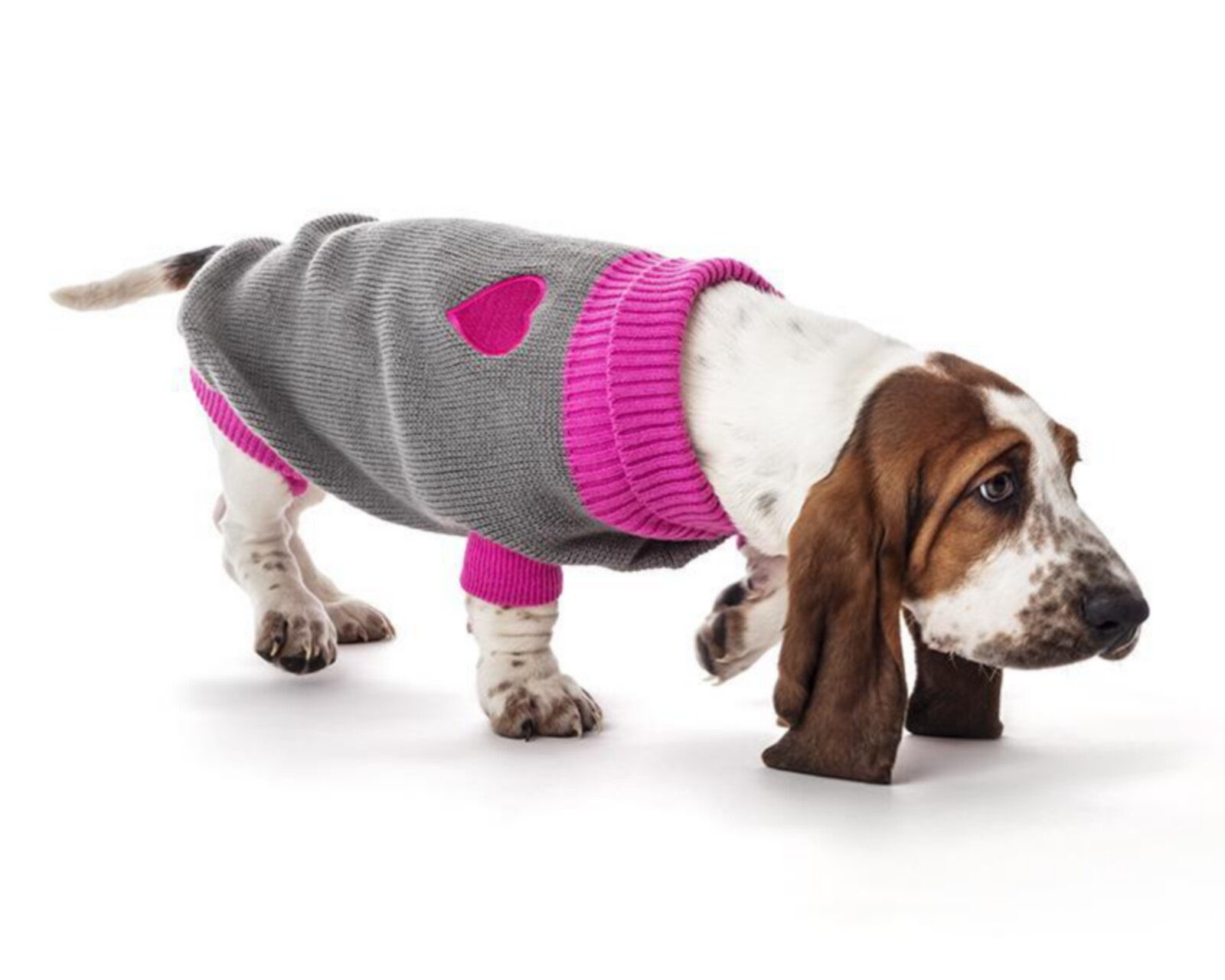 Suéter Huppy para Perro