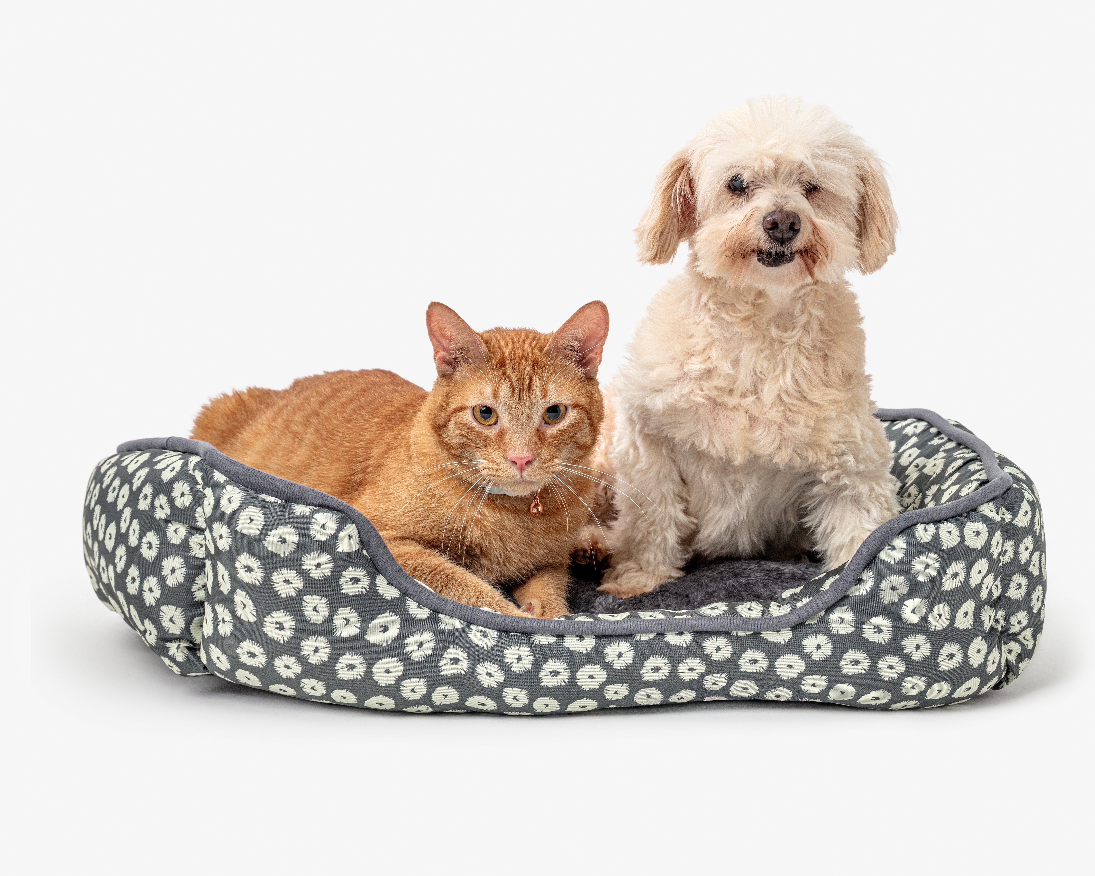 Foto 4 pulgar | Foto 3 | Cama para Mascotas Huppy 59 x 50 x 16 cm