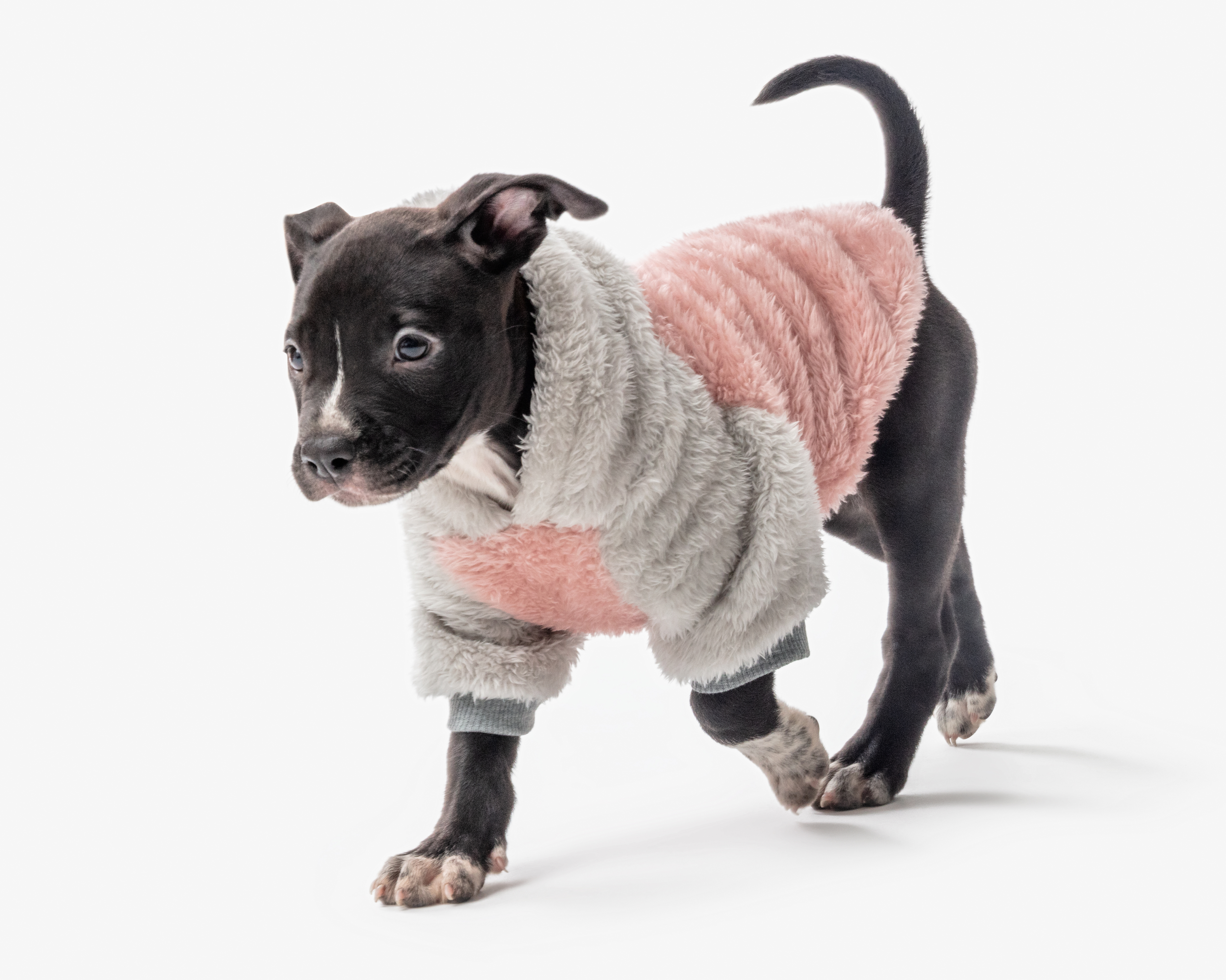 Sudadera Huppy para Perro