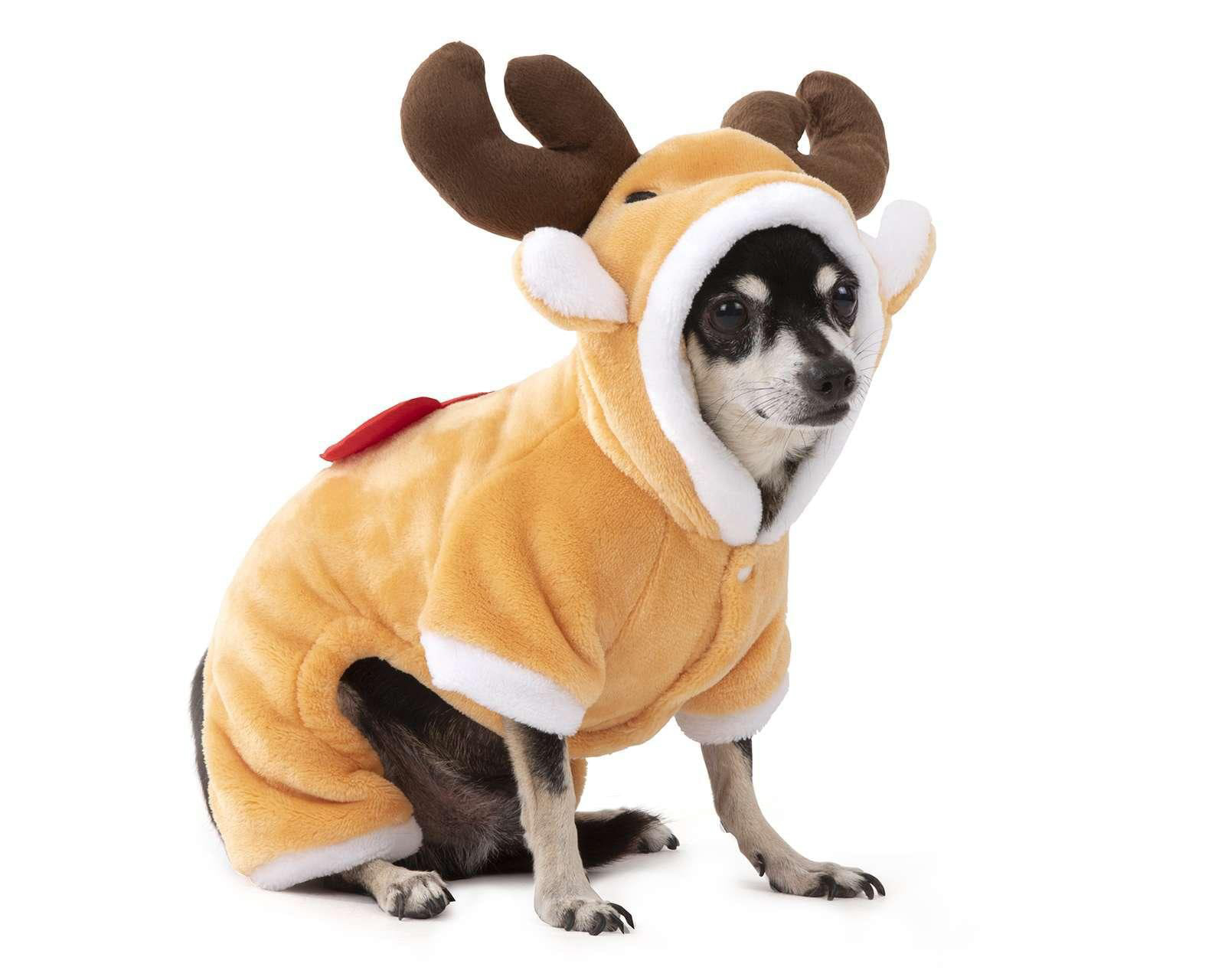 Disfraz de Reno para Mascota Huppy