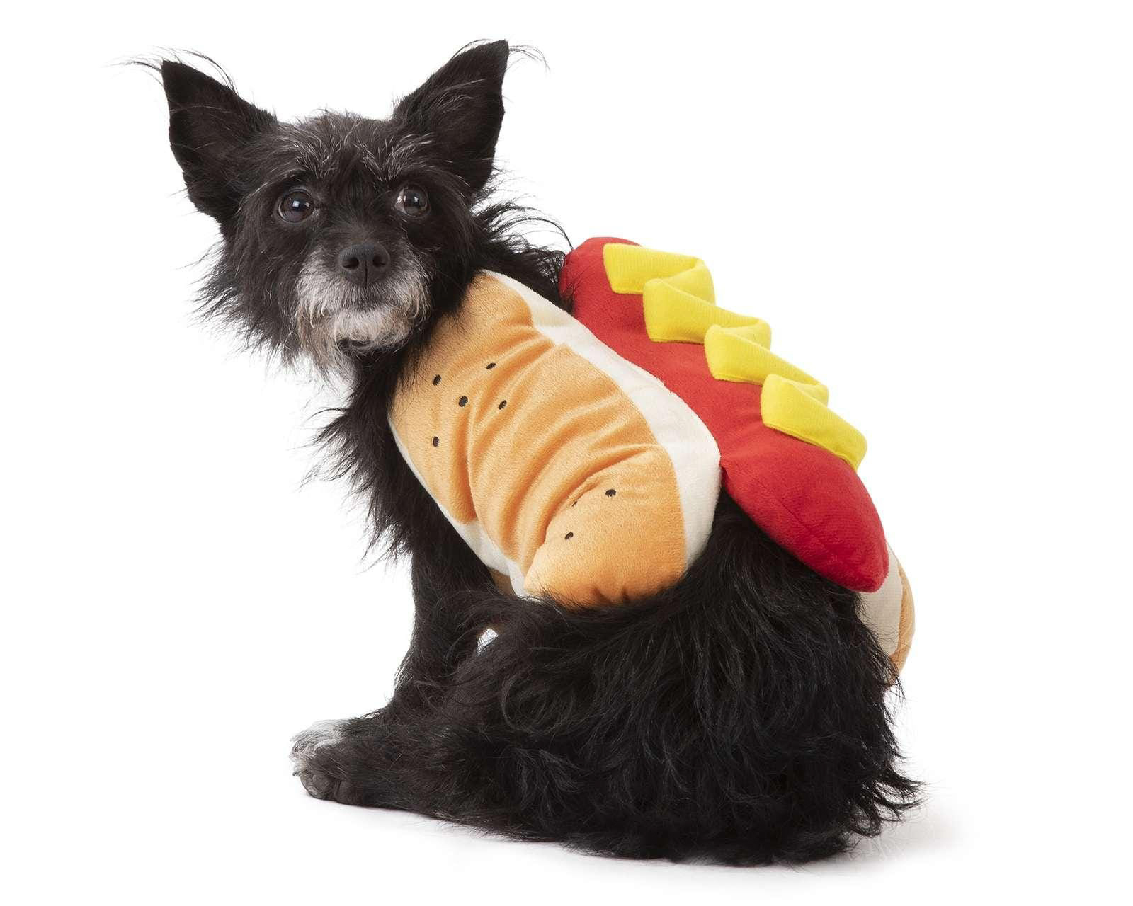 Foto 2 | Foto 2 | Disfraz de Hot Dog para Perro Huppy