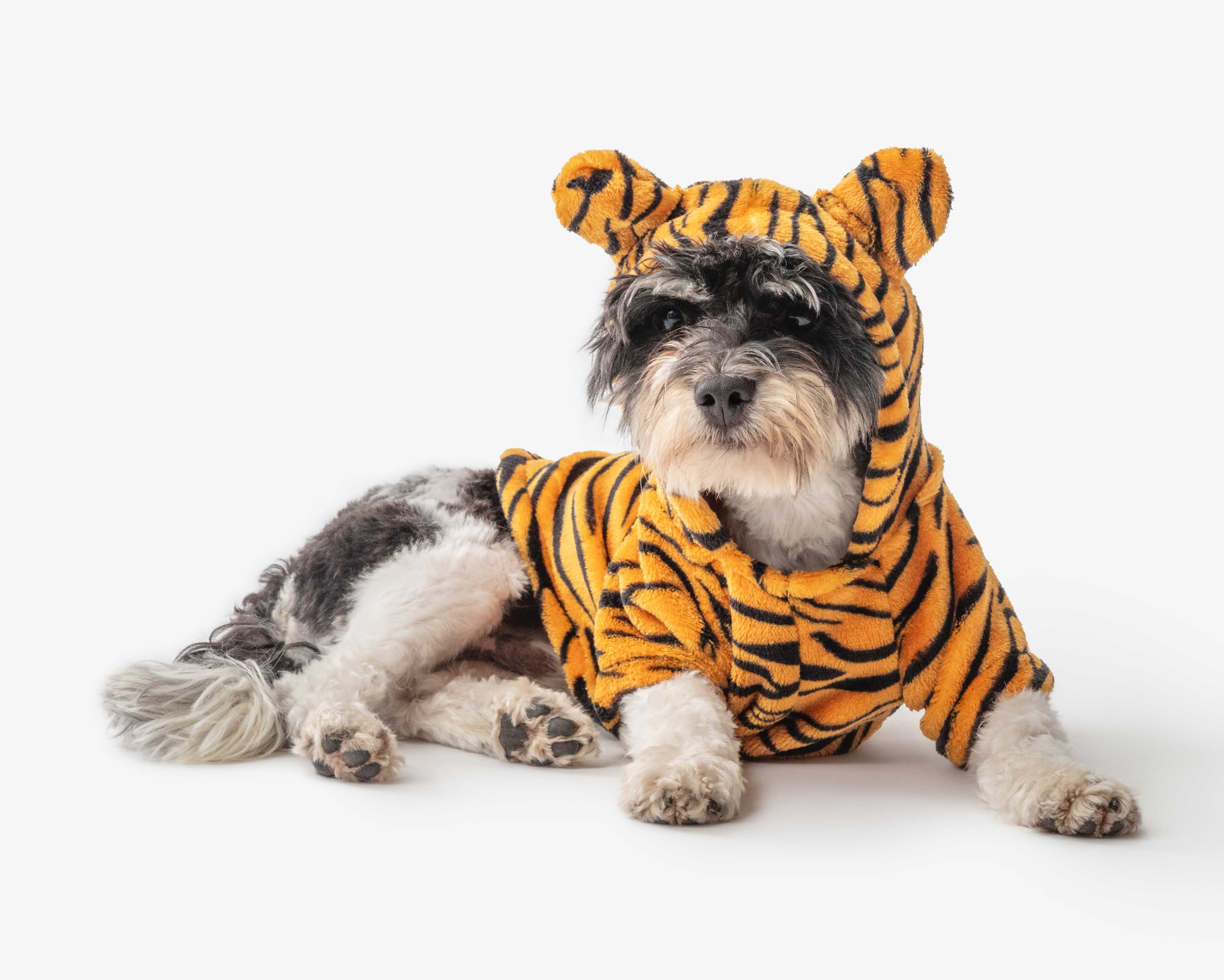 Disfraz de Tigre Huppy para Perro