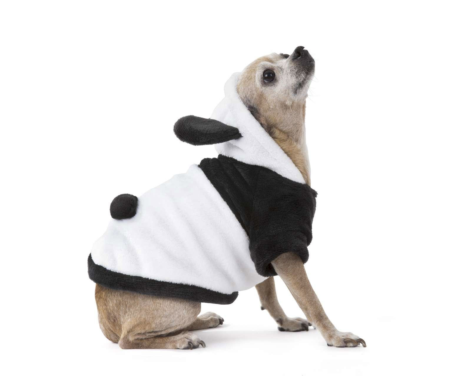 Foto 2 pulgar | Foto 1 | Disfraz de Panda Huppy para Perro