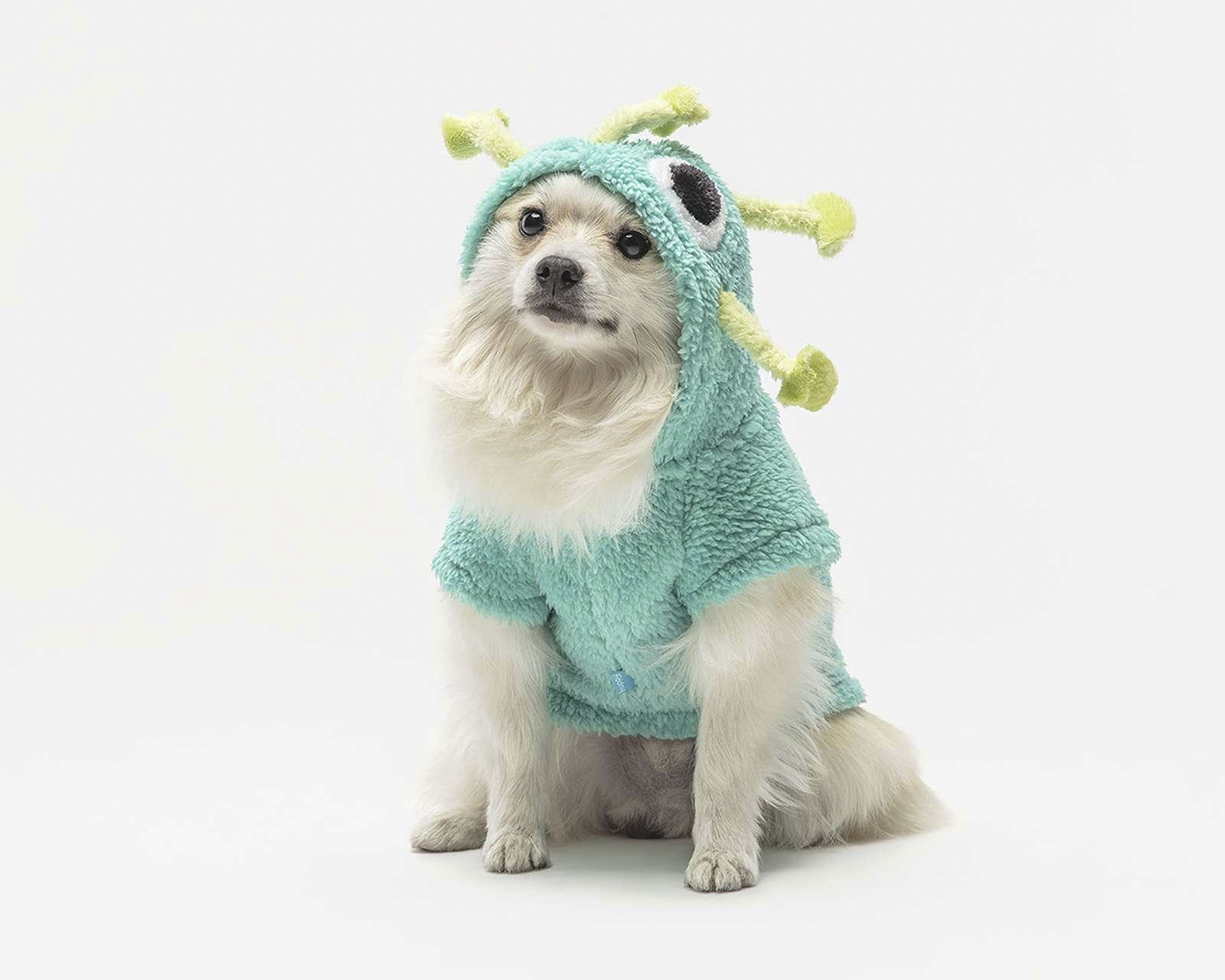 Foto 1 | Foto 1 | Disfraz Huppy para Mascota