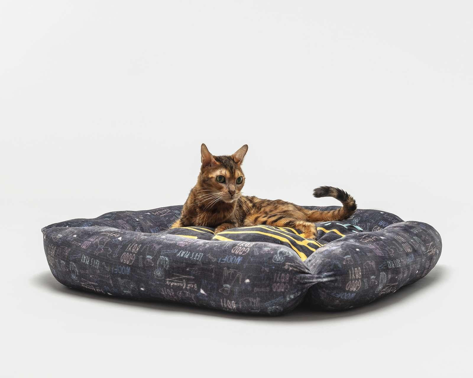 Foto 3 pulgar | Foto 2 | Cama para Mascota Providencia 76 x 50 cm
