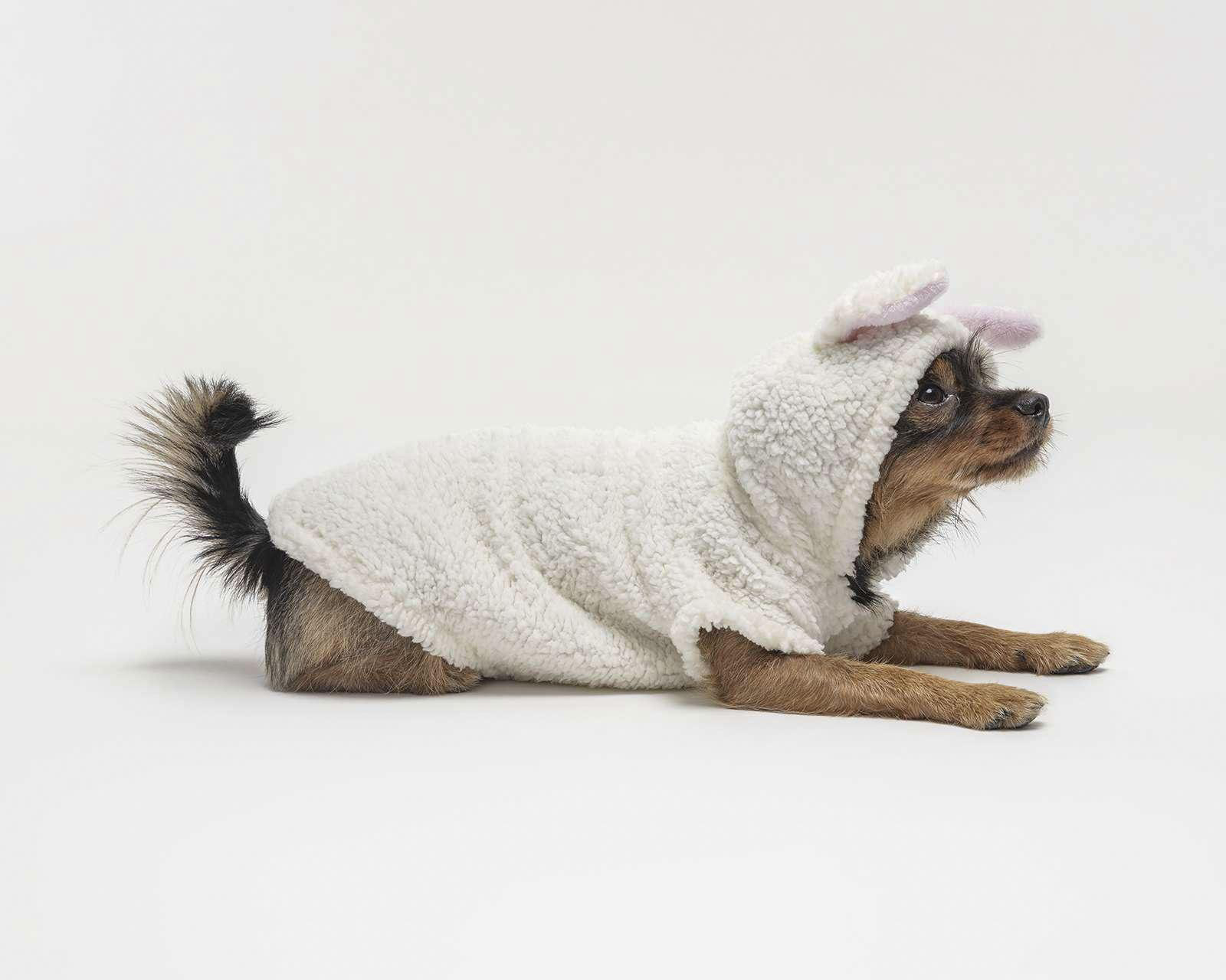 Disfraz de Conejo para Mascota Huppy