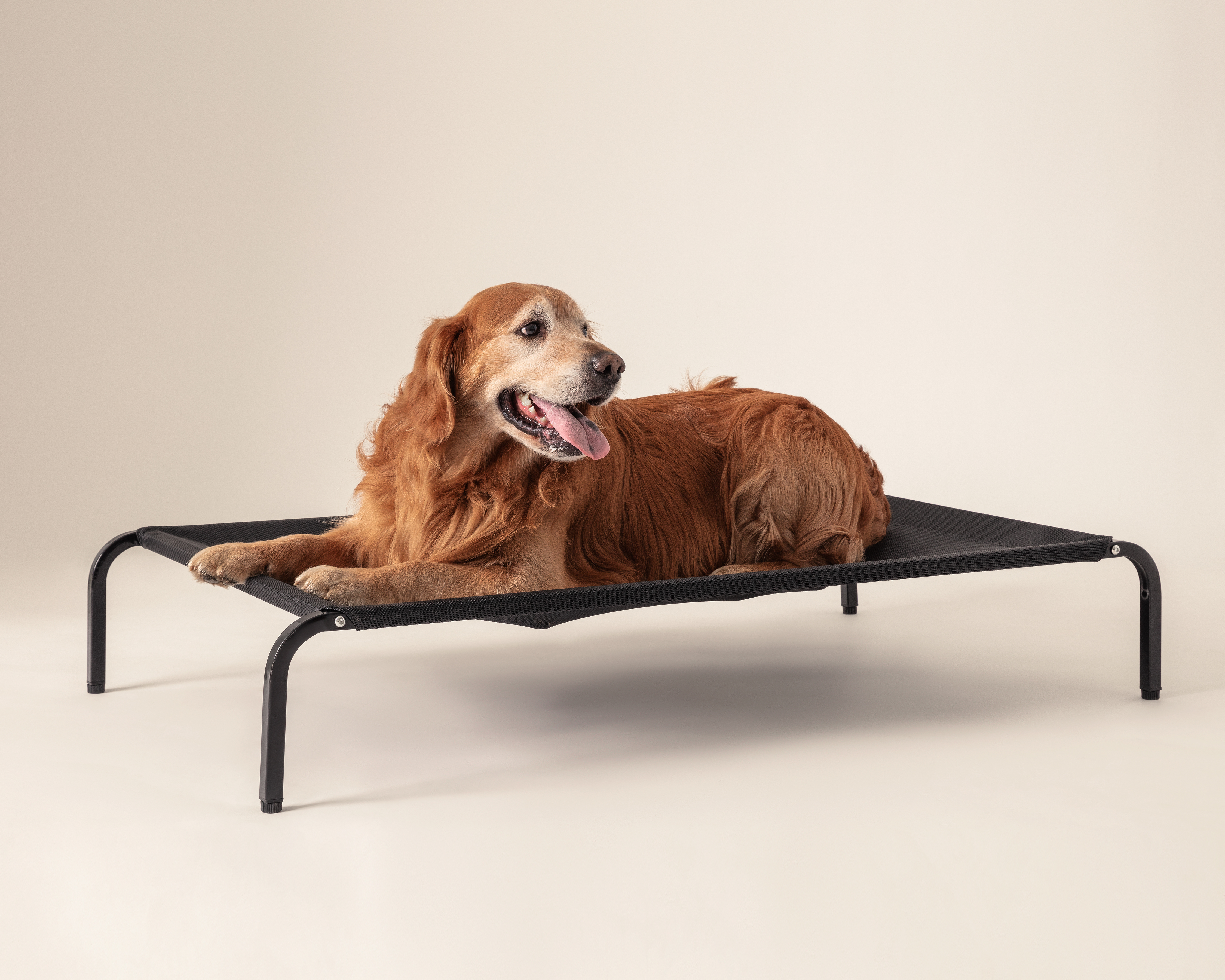 Foto 4 | Foto 4 | Cama para Mascota Huppy 114 x 76 x 20 cm