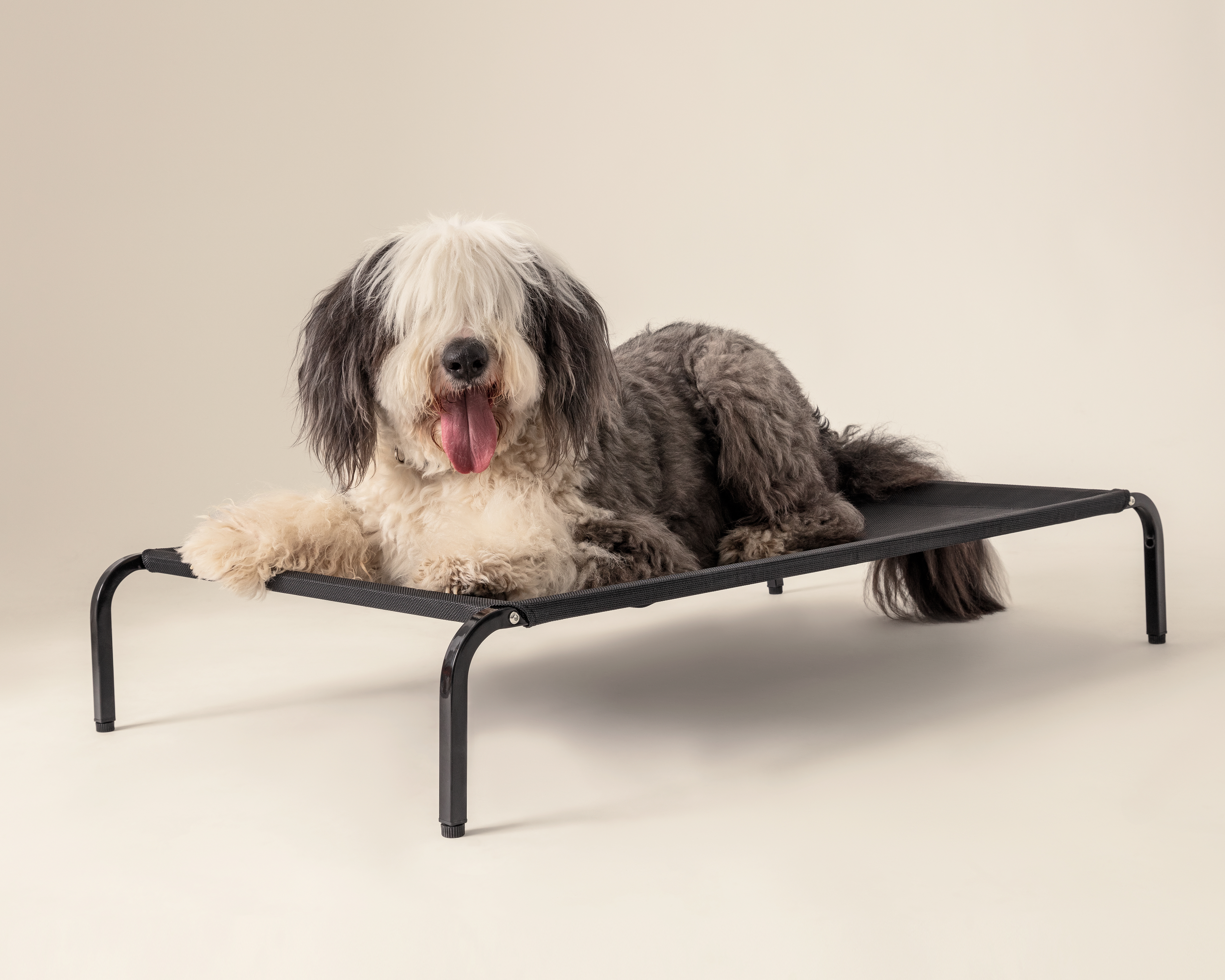 Foto 5 | Foto 5 | Cama para Mascota Huppy 114 x 76 x 20 cm