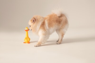 Foto 1 | Foto 1 | Juguete Mordedera Huppy para Perro