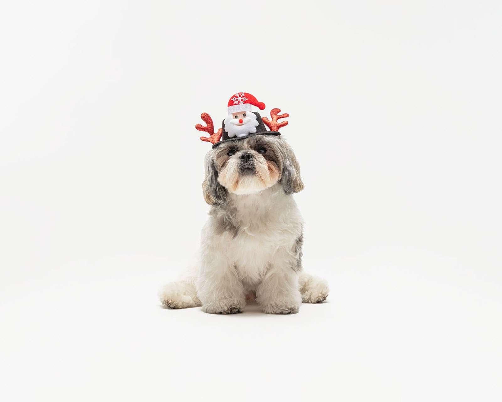 Gorro Navideño Huppy para Mascota