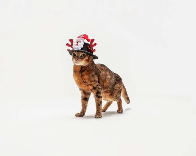 Foto 2 | Foto 2 | Gorro Navideño Huppy para Mascota