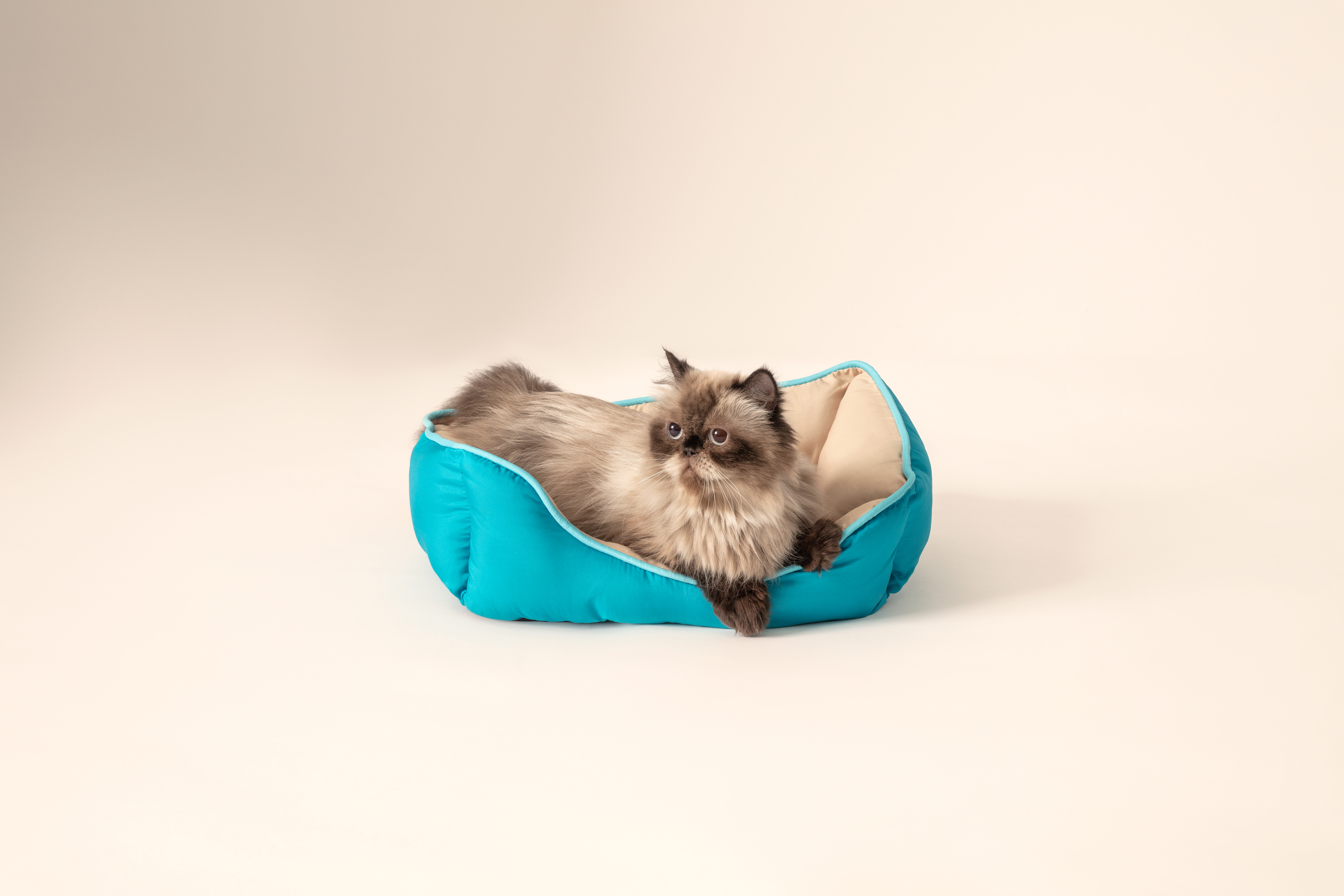 Cama para Mascotas Huppy