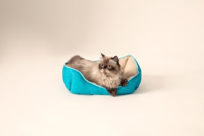 Foto 1 | Foto 1 | Cama para Mascotas Huppy