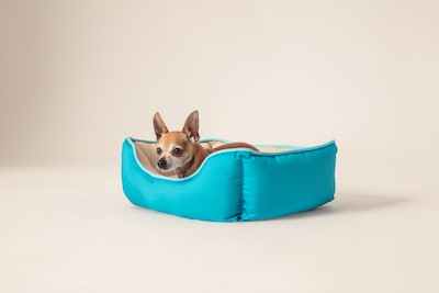 Foto 6 | Foto 6 | Cama para Mascotas Huppy