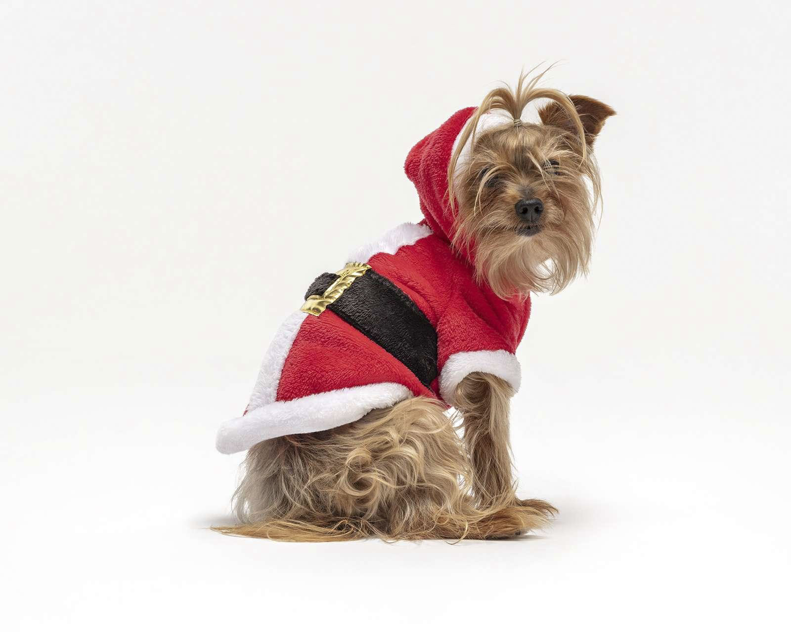 Disfraz Santa Claus Huppy para Perro