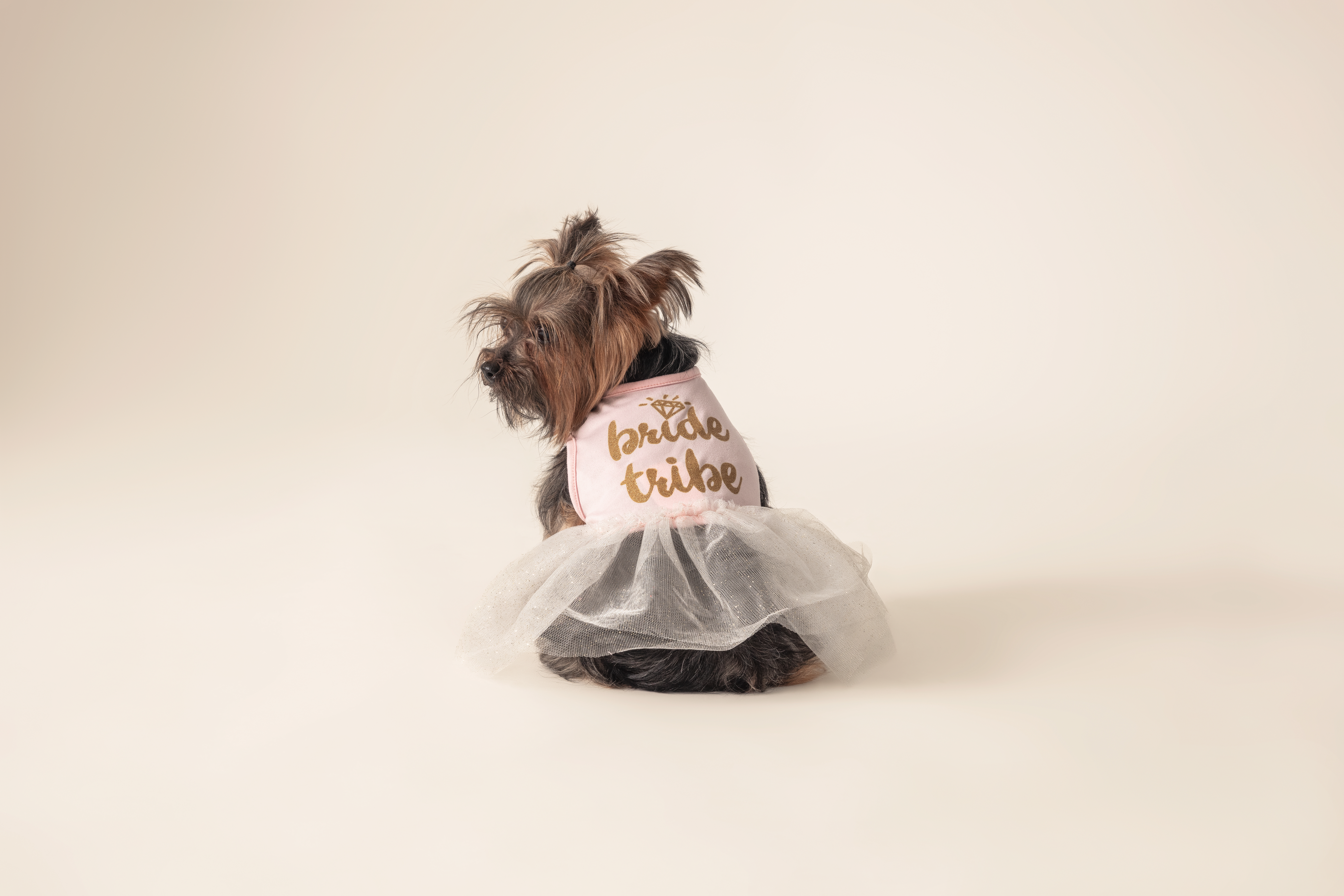 Foto 2 pulgar | Foto 1 | Vestido Huppy para Mascota