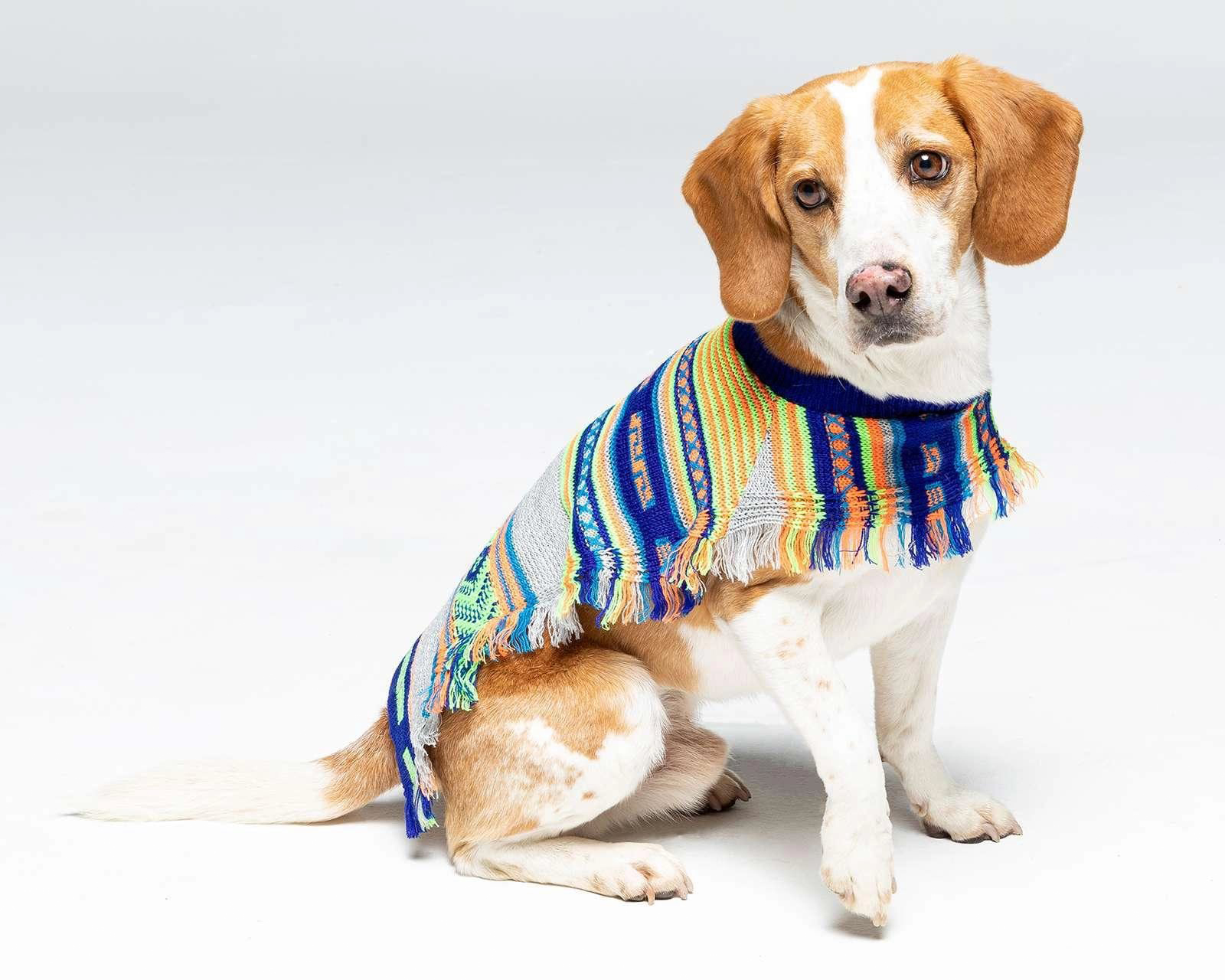 Suéter Huppy para Mascota