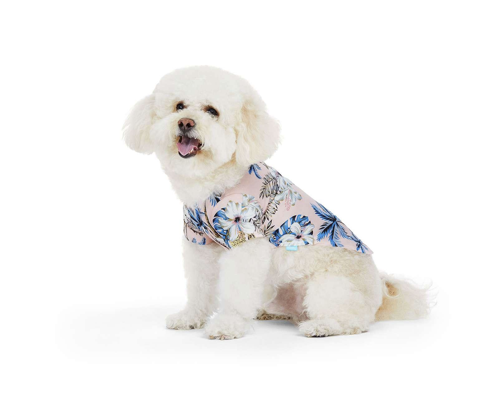 Foto 1 | Foto 1 | Camiseta Huppy para Perro