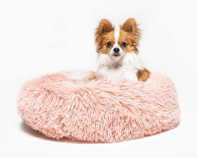 Foto 1 | Foto 1 | Cama para Mascotas Huppy