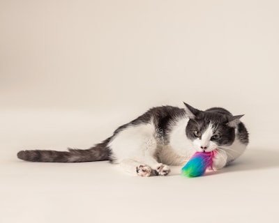Foto 1 | Foto 1 | Juguete Huppy para Gato