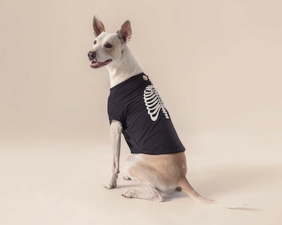 Foto 1 | Foto 1 | Playera Huppy para Perro