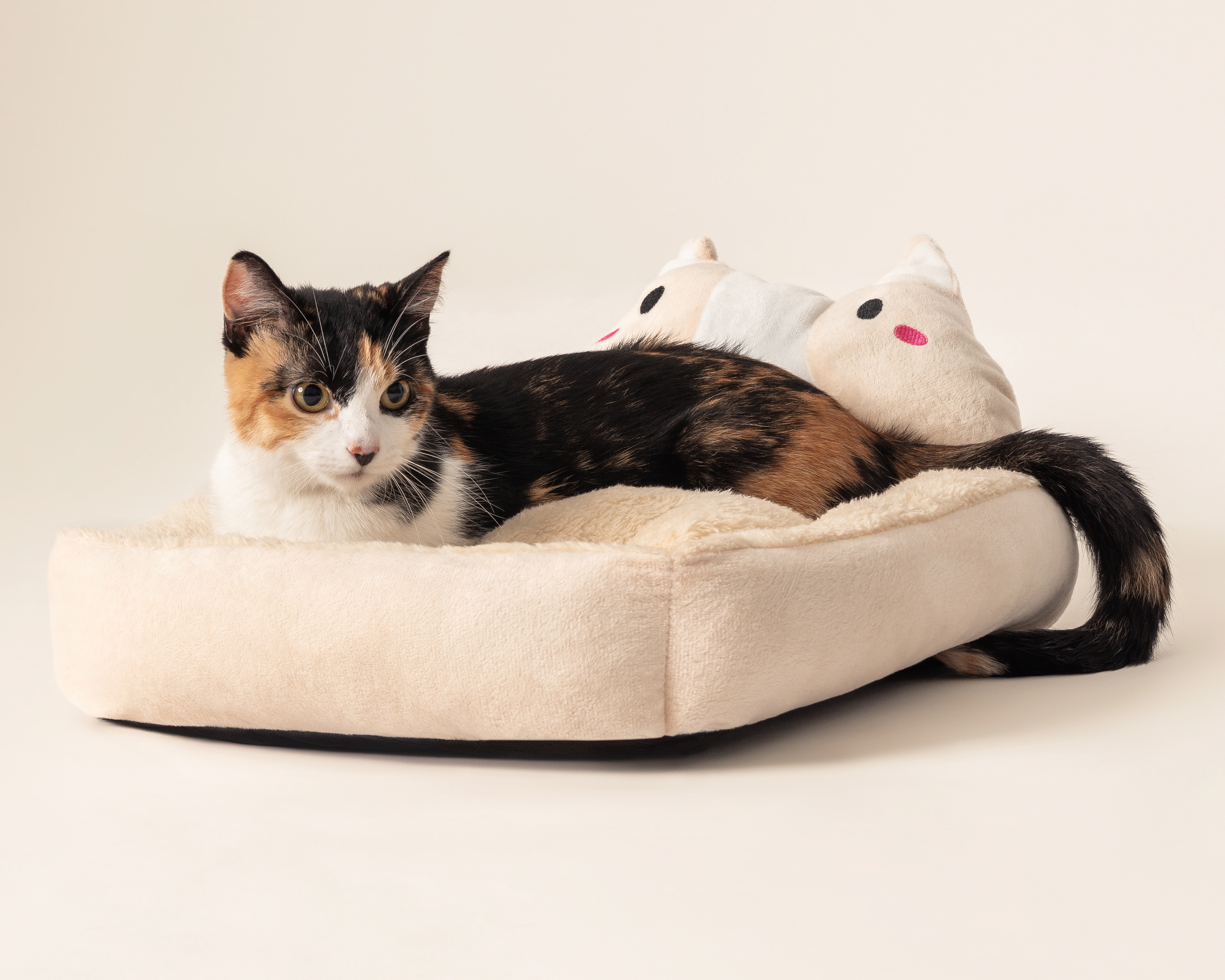Cama para Mascotas Huppy 50 x 40 x 12 cm