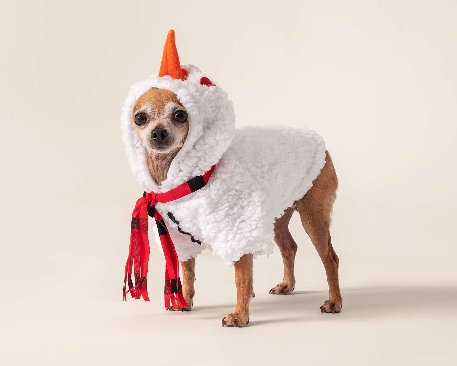 Suéter Huppy para Mascota