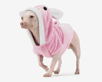 Foto 1 | Foto 1 | Disfraz de Cerdito Huppy para Perro