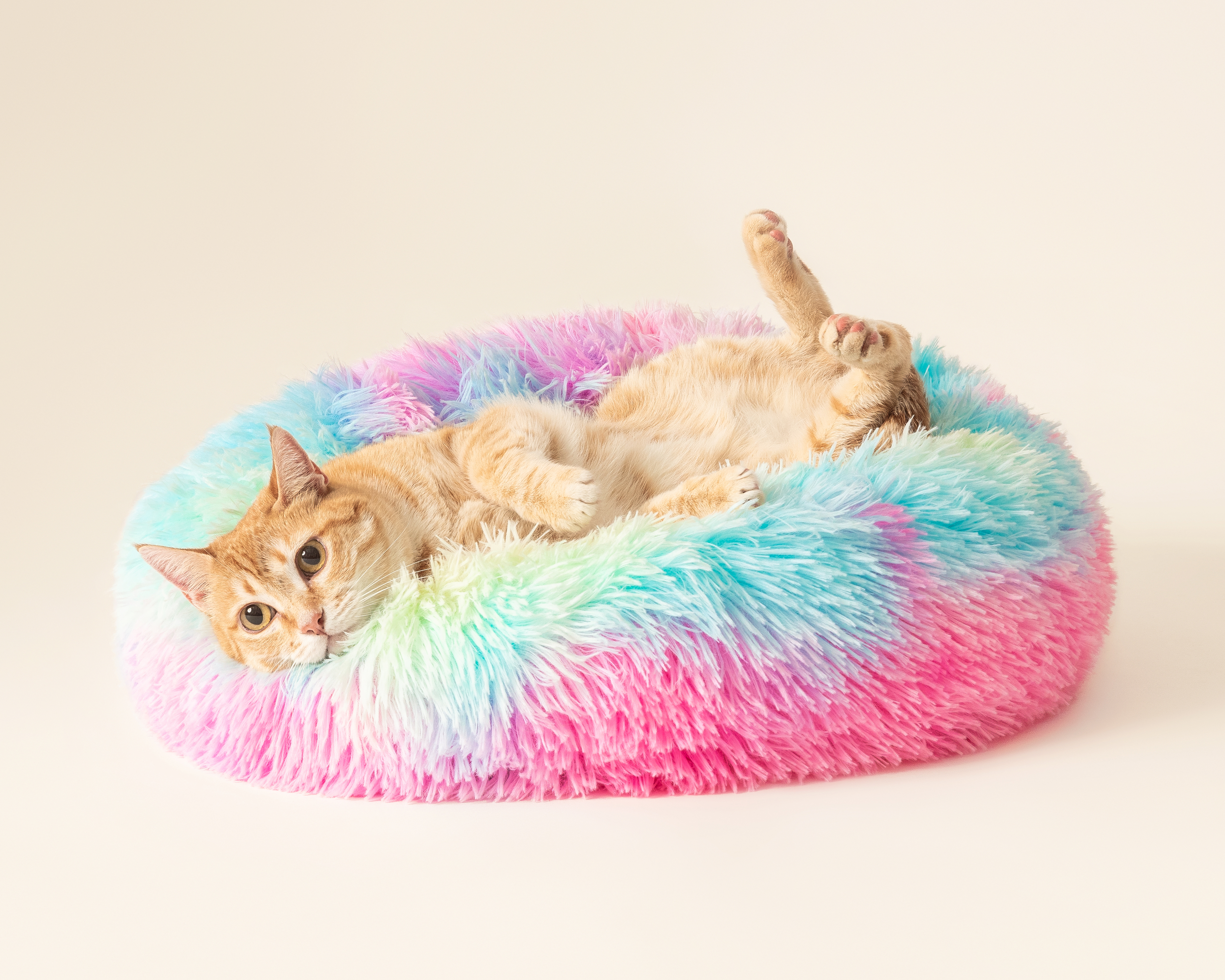 Foto 2 pulgar | Foto 1 | Cama para Mascotas Huppy 54 x 17 cm