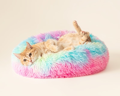 Foto 1 | Foto 1 | Cama para Mascotas Huppy 54 x 17 cm