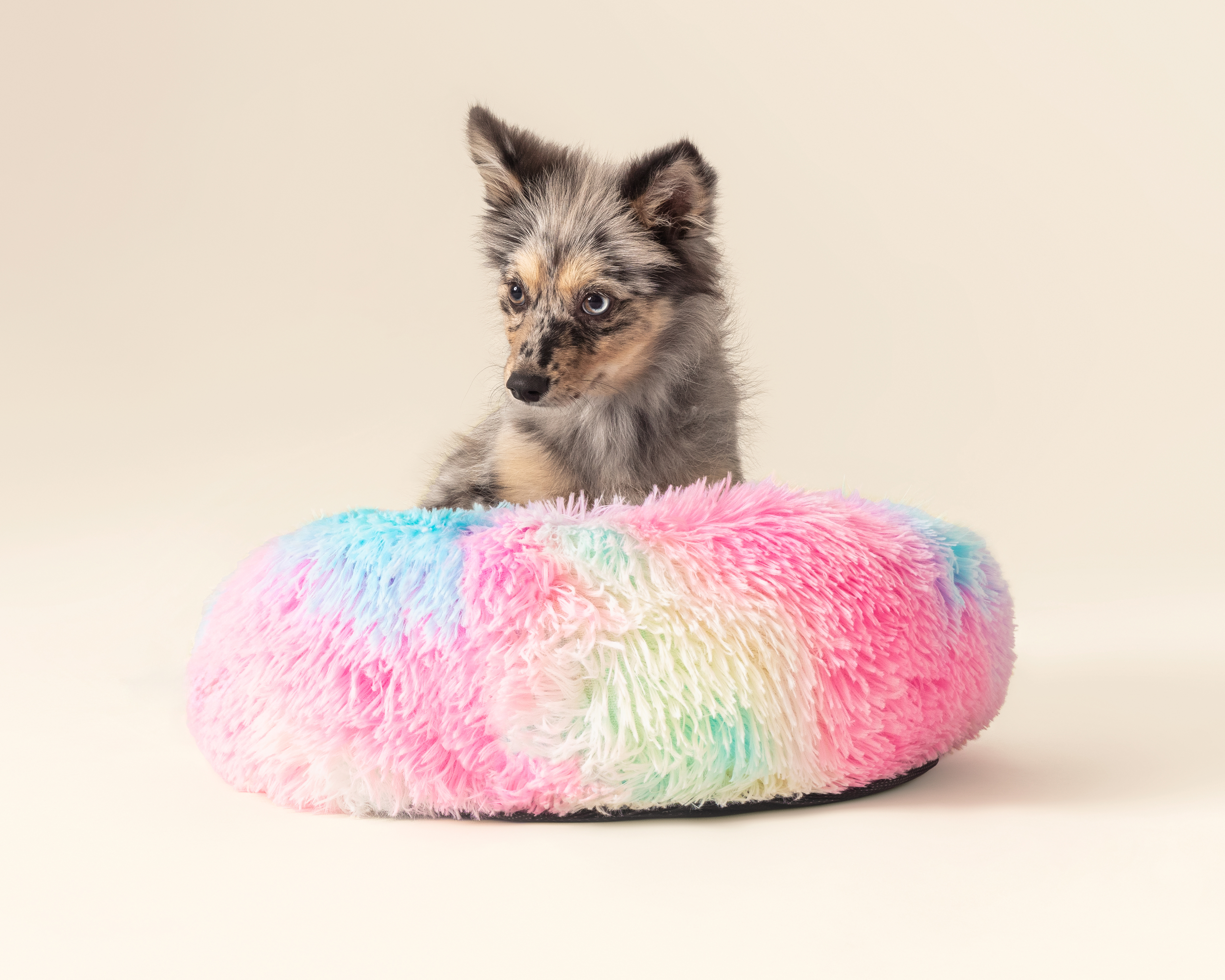 Foto 3 pulgar | Foto 2 | Cama para Mascotas Huppy 54 x 17 cm