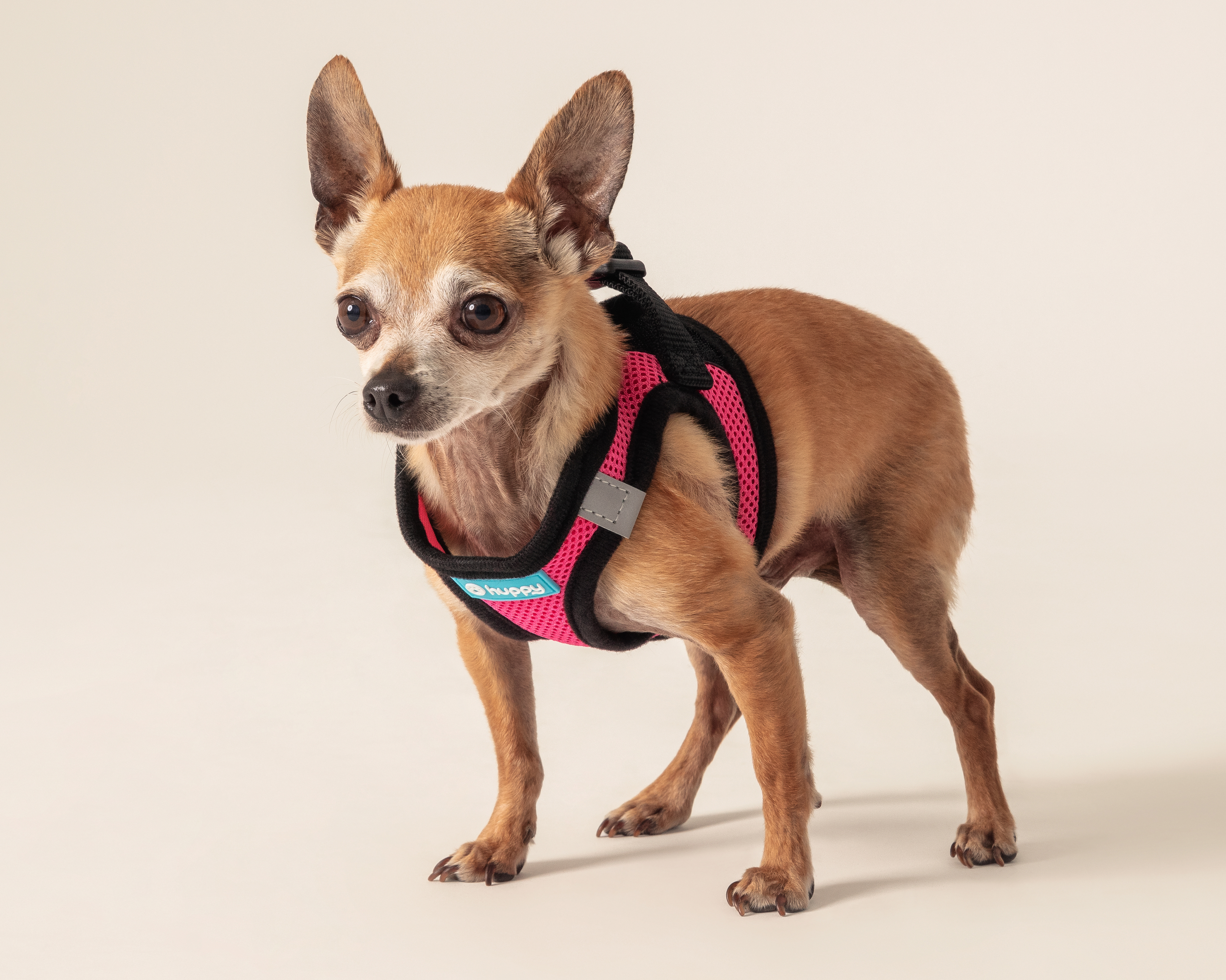 Foto 2 pulgar | Foto 1 | Pechera Huppy para Mascota