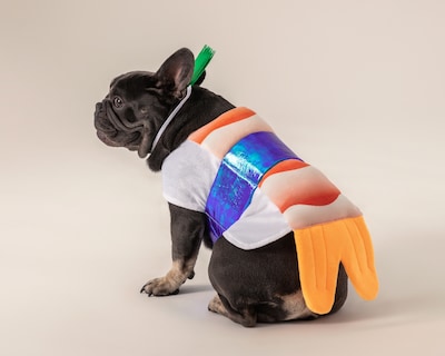 Foto 1 | Foto 1 | Disfraz de Sushi Huppy para Perro