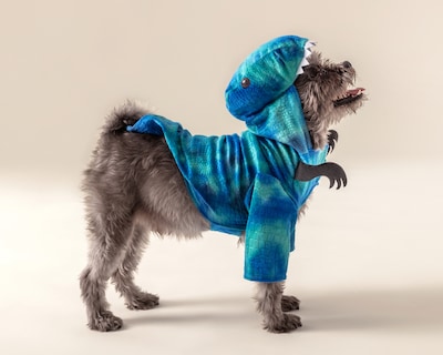 Foto 1 | Foto 1 | Disfraz Huppy para Perro