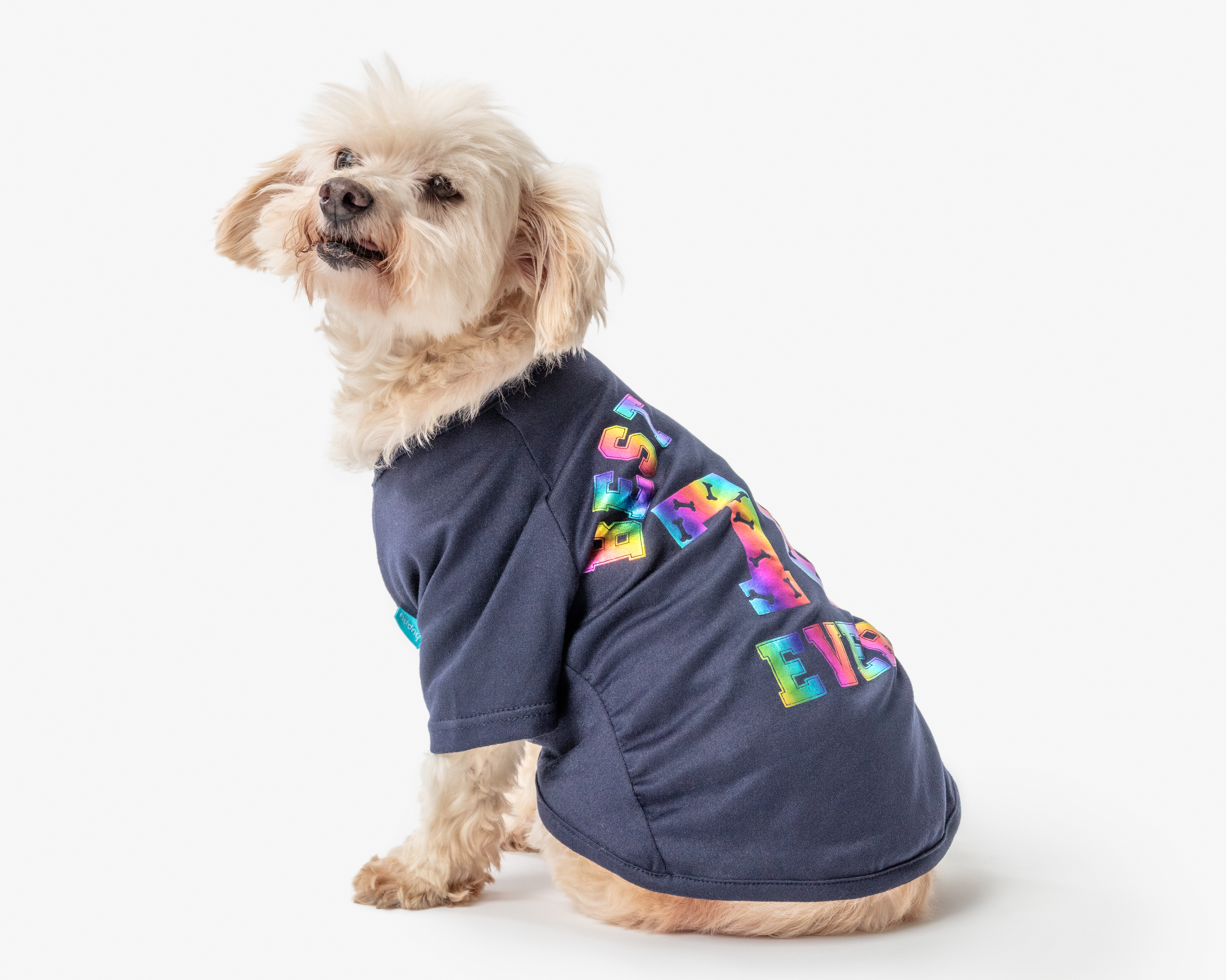 Foto 1 | Foto 1 | Playera Huppy para Perro